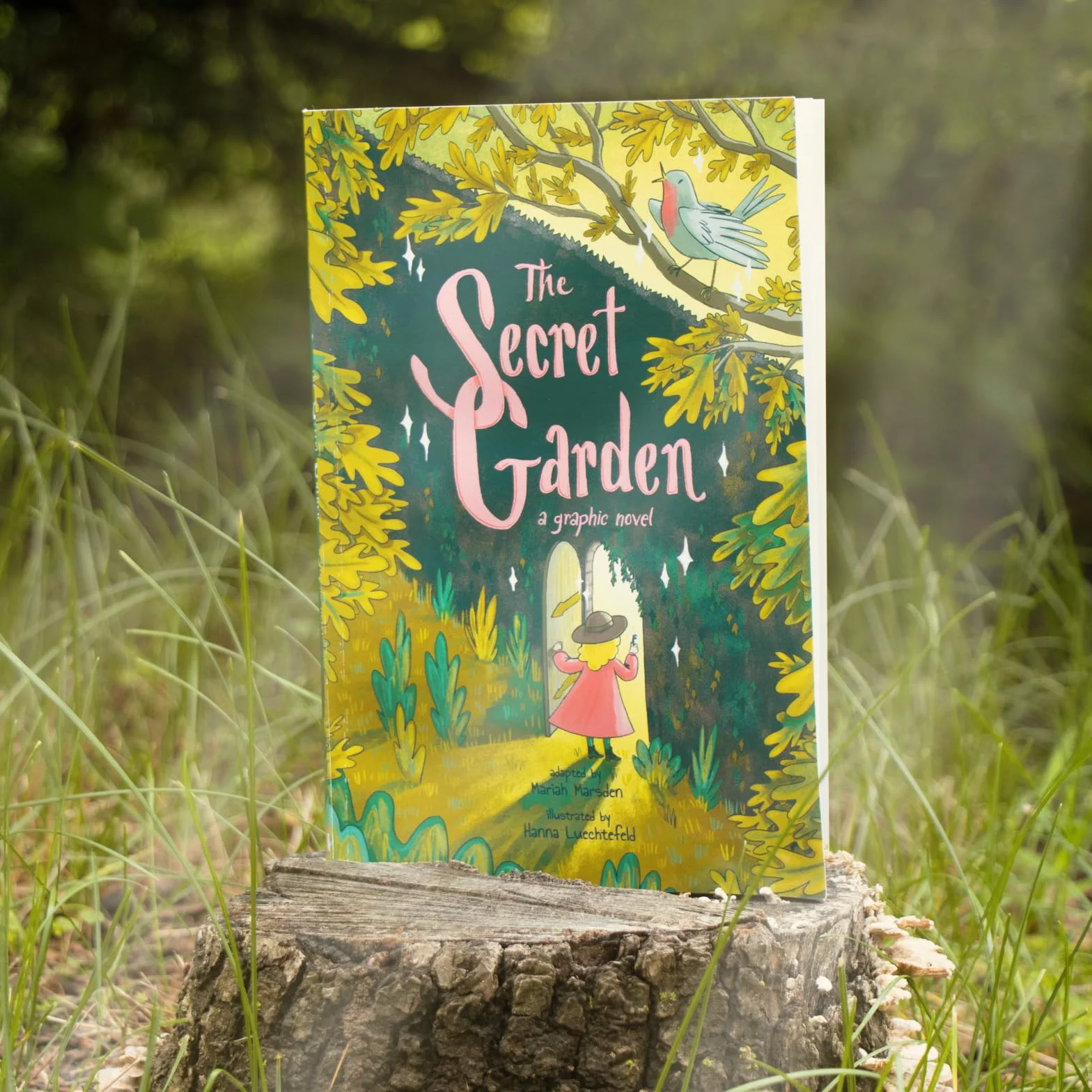 The Secret Garden: A Graphic Novel