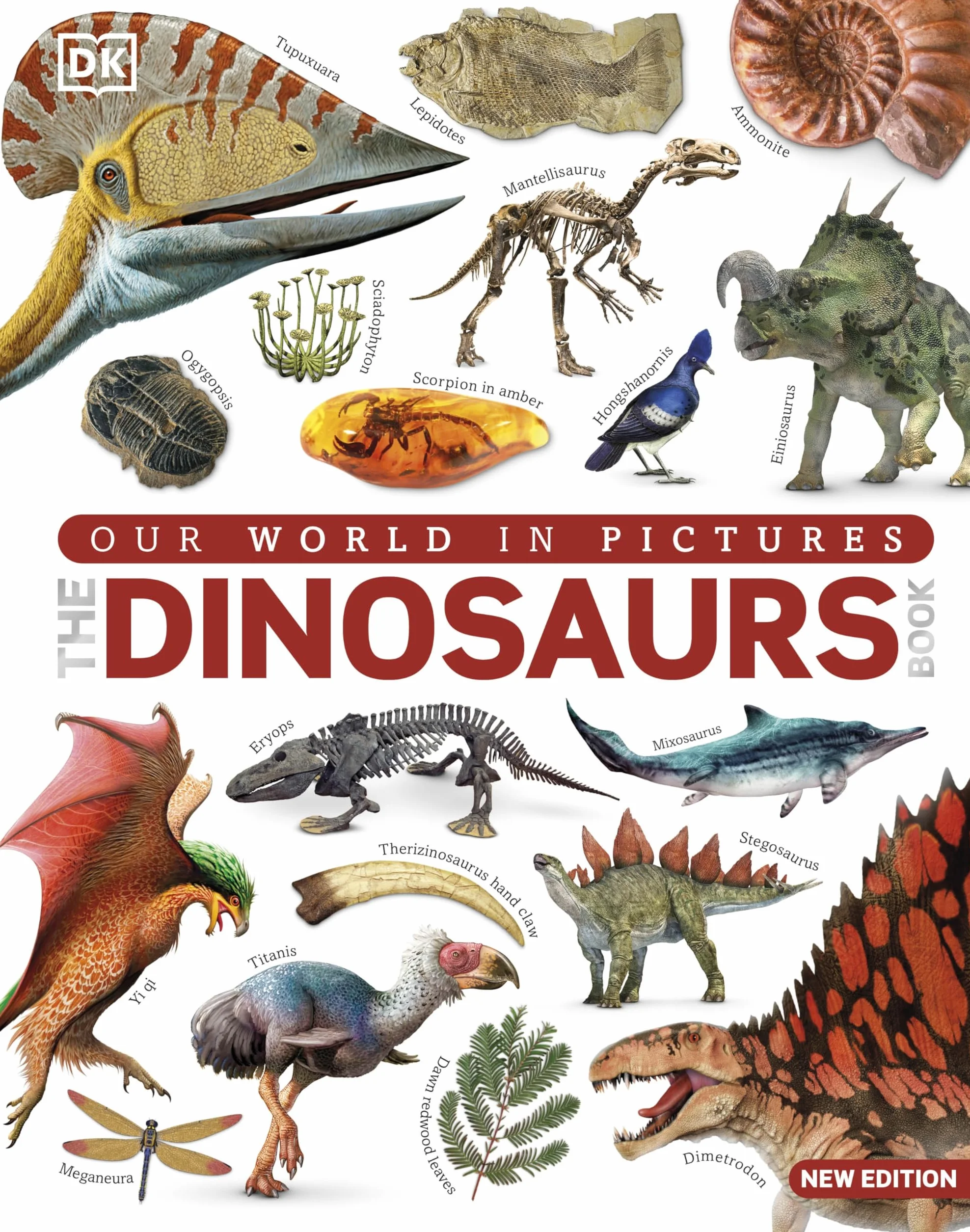 The Dinosaurs Book: Our World in Pictures