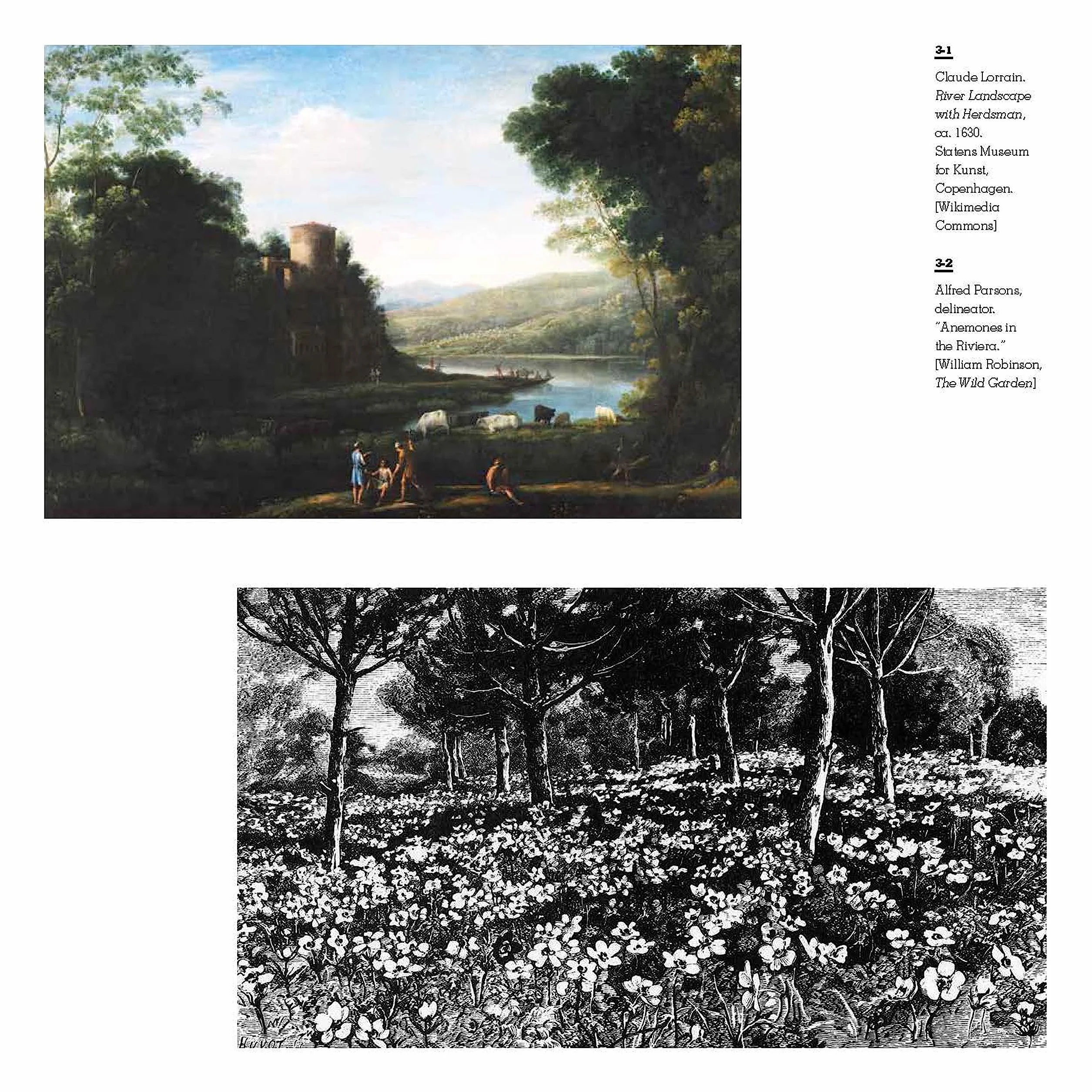 Aesthetics Of Contemporary Planting Design /anglais