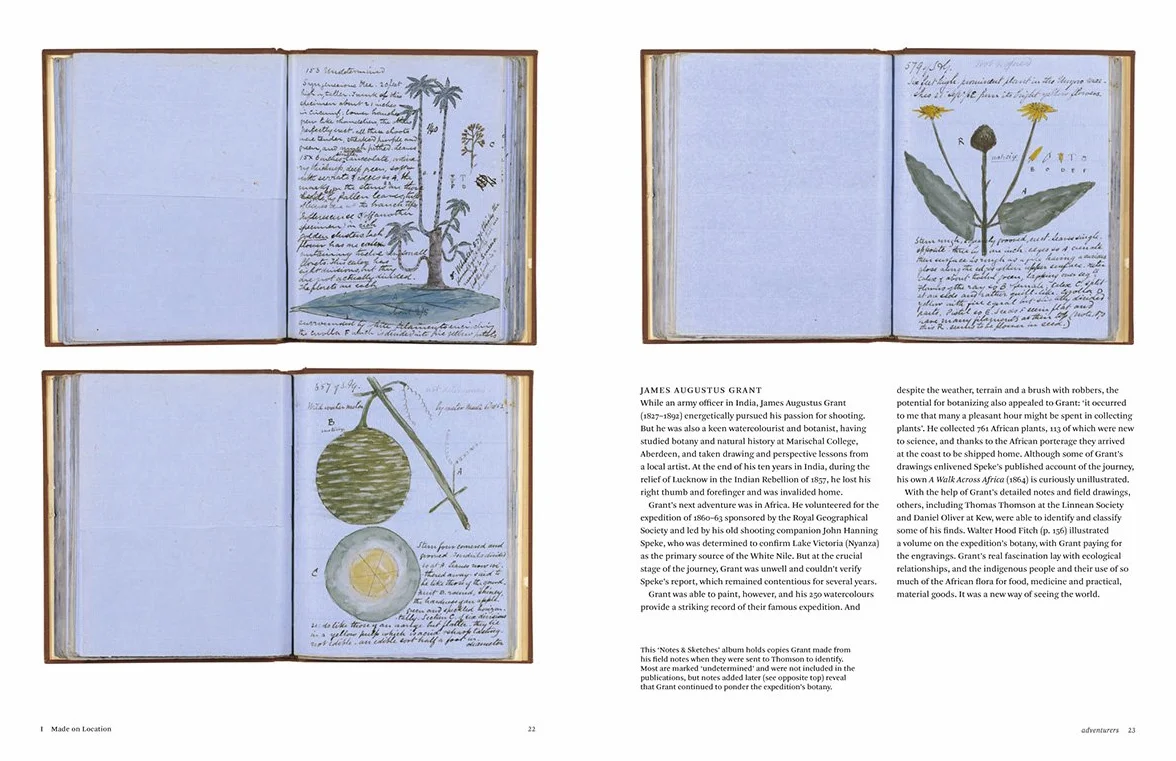 Botanical Sketchbooks (paperback) /anglais