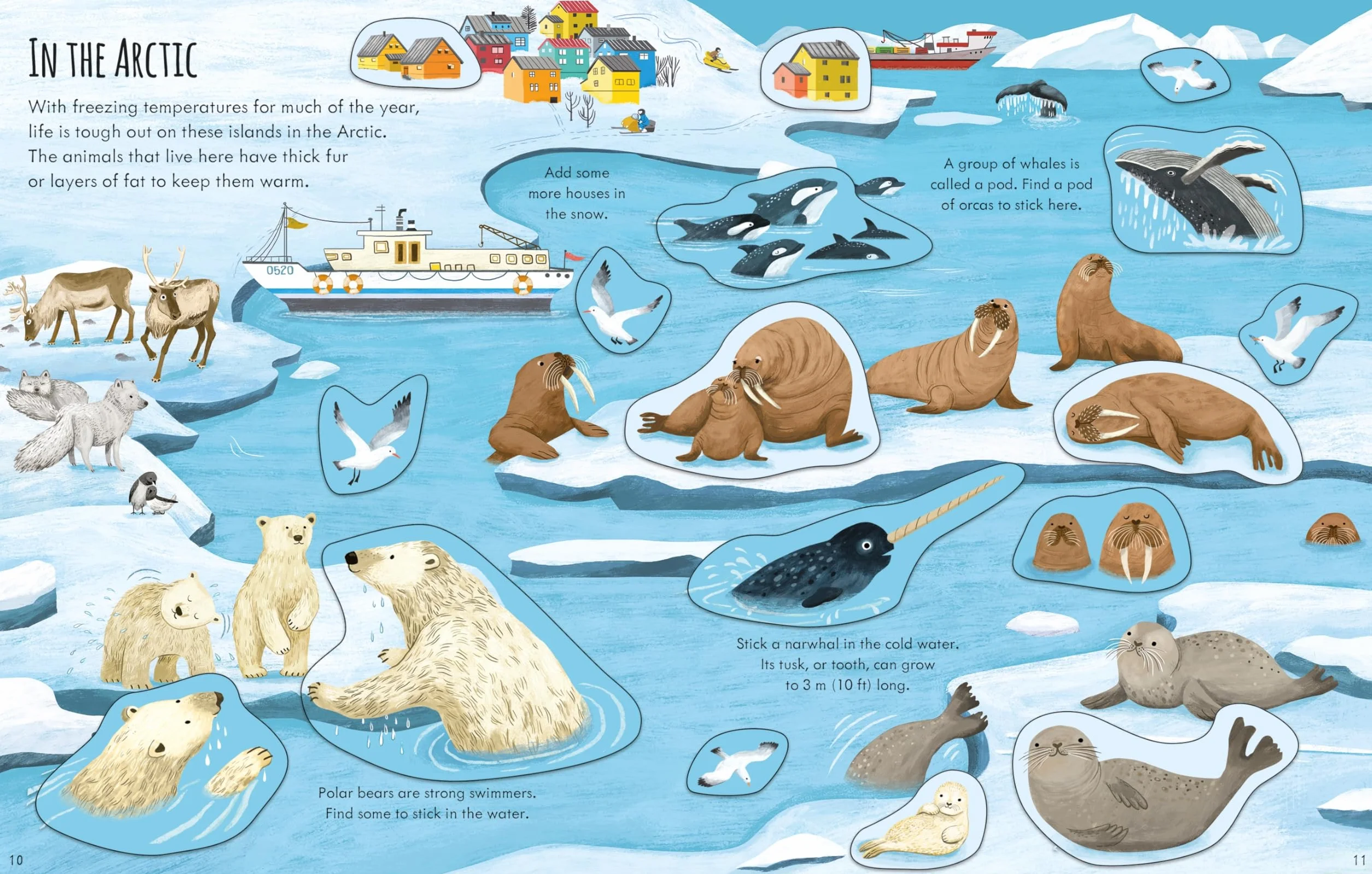 First Sticker Book Planet Earth (First Sticker Books)