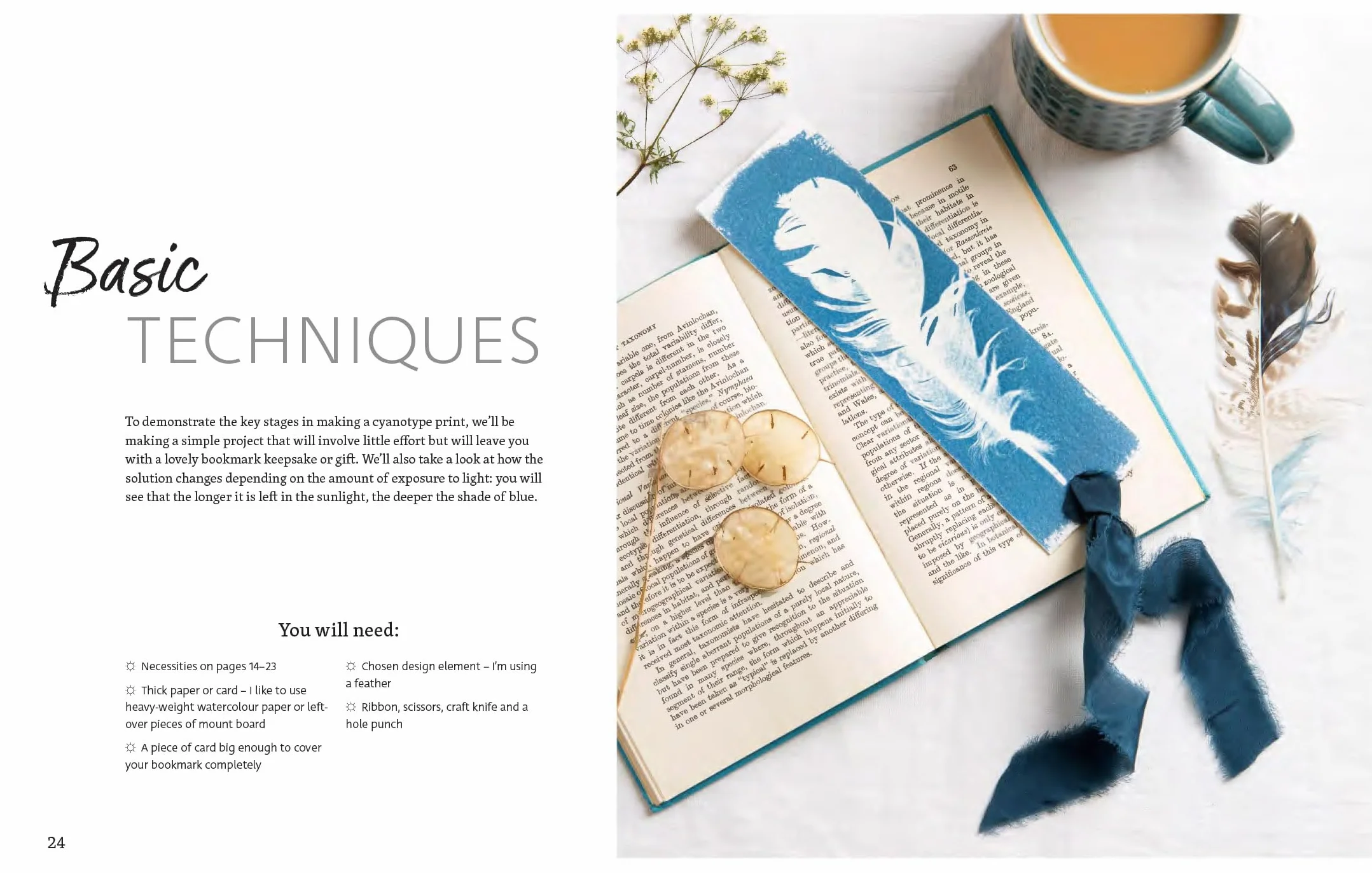 Beginner's Guide to Cyanotype: Beautiful Projects to Print with Light