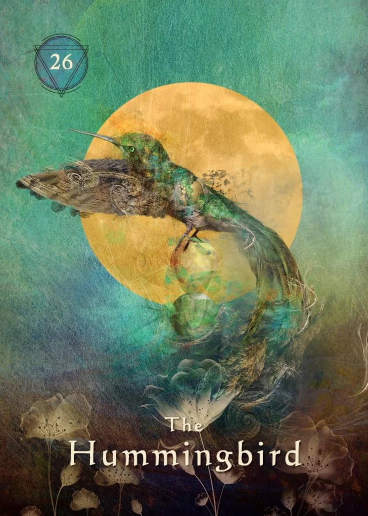 Mystical Shaman Pocket Oracle Cards: A 64-Card Deck and Guidebook