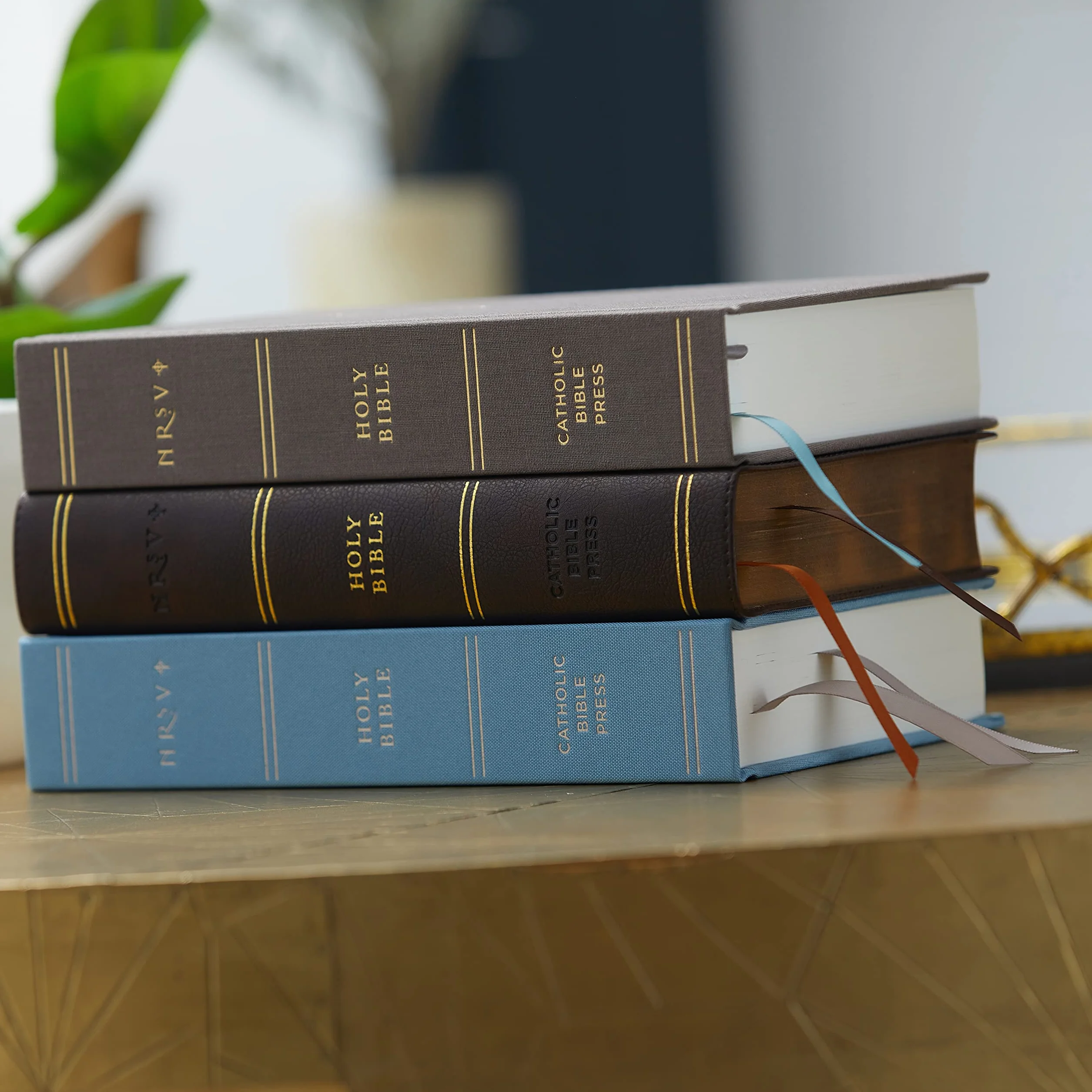 Nrsv, Catholic Bible, Journal Edition, Cloth Over Board, Blue, Comfort Print: Holy Bible
