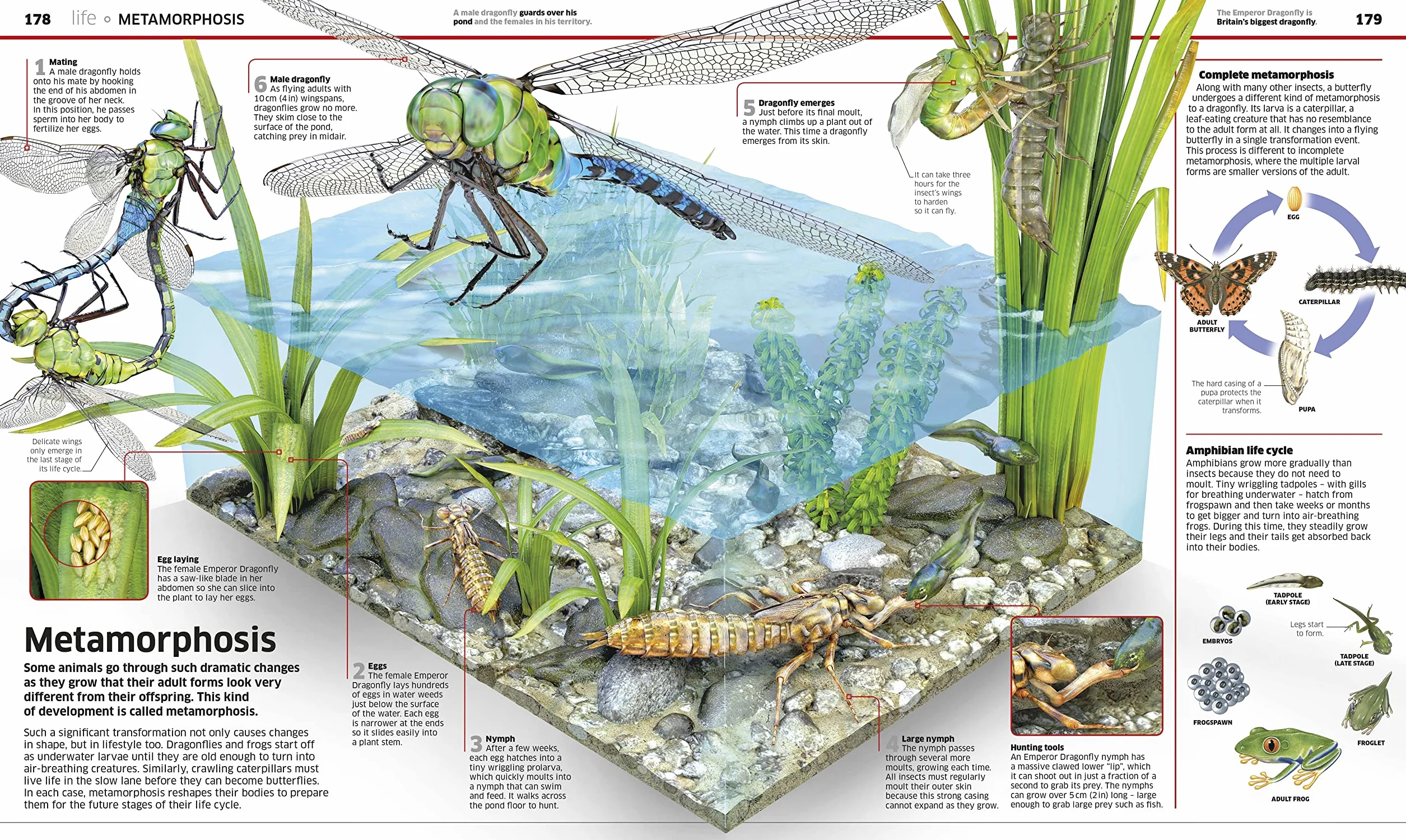 Knowledge Encyclopedia Science!