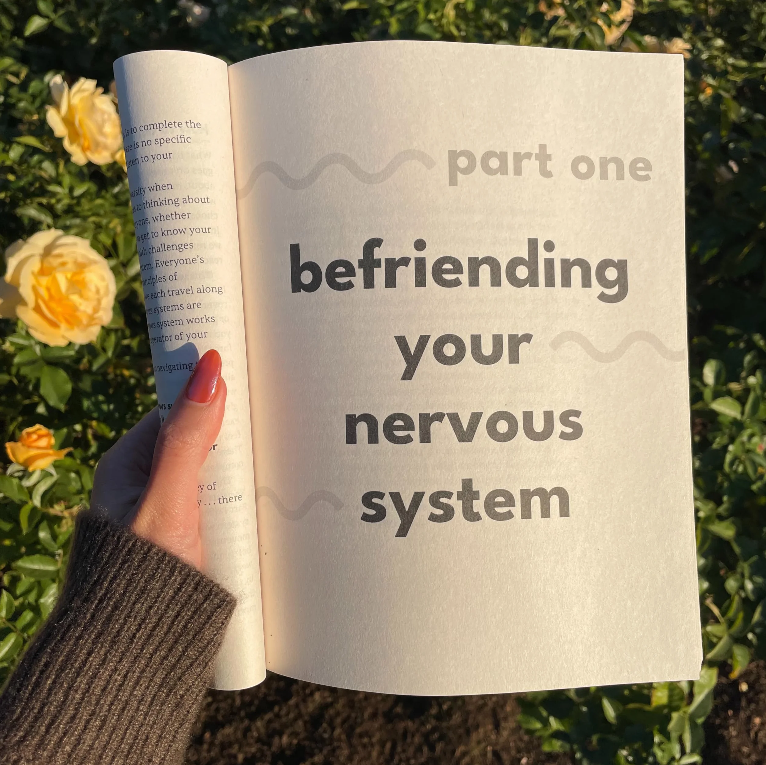 The Nervous System Workbook: Practical Exercises to Ease Anxiety, Find Safety, and Come Home to Yourself Using Polyvagal Theory