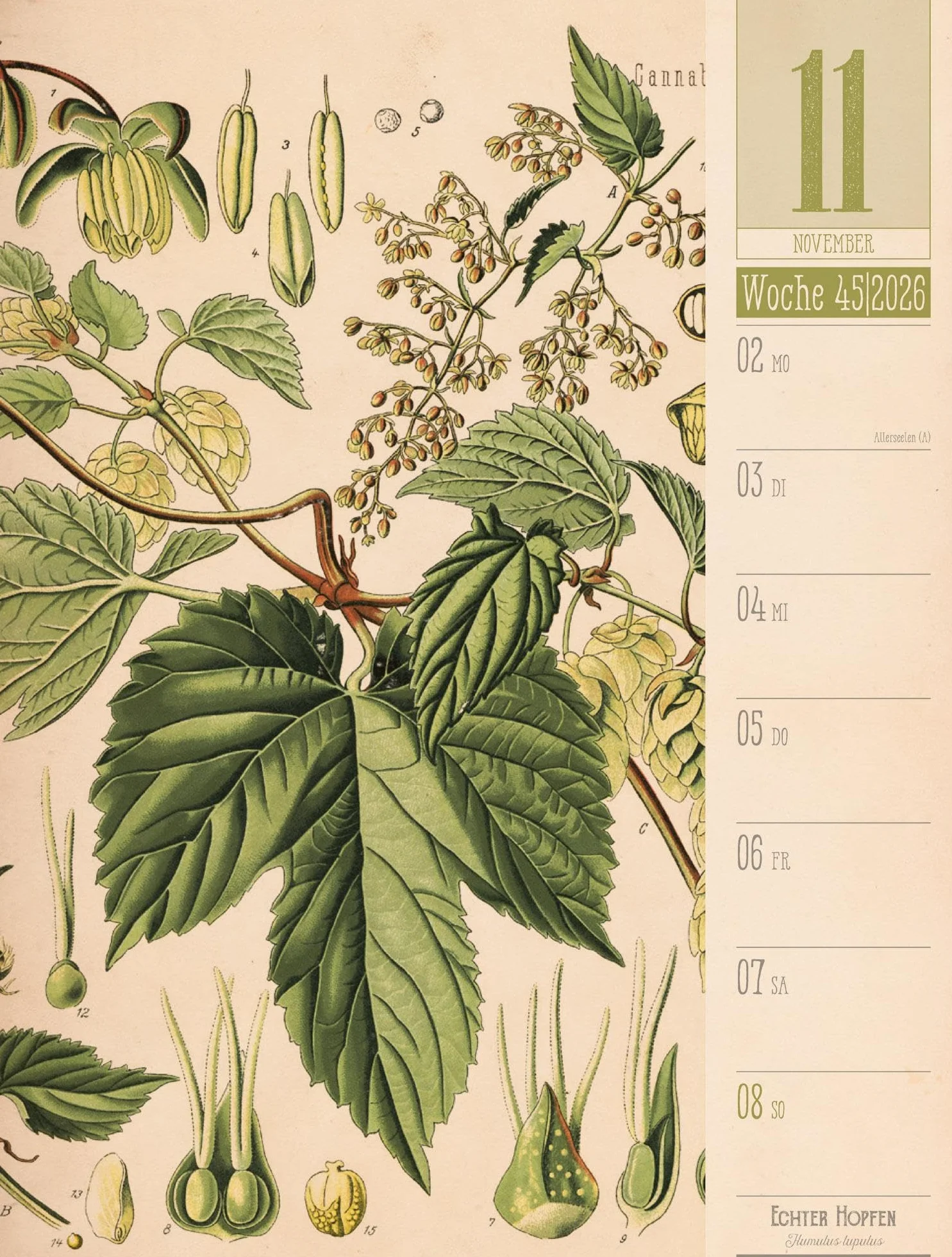 Culinarium Wochenplaner Kalender 2026 | Küche, Kräuter, Kurioses: Informativer Küchen-Wochenkalender im Hochformat (25x33 cm) | Vintage & Retro