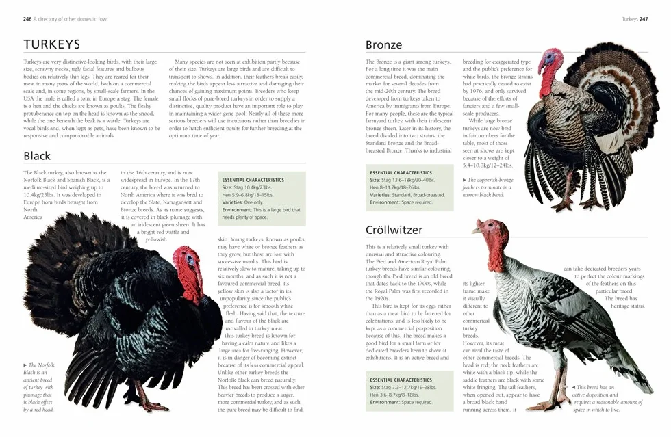 A Complete Practical Guide to Keeping Chickens: A Directory of Chickens, Ducks, Geese and Turkeys, and How to Keep Them, with Mmre Than 700 Photographs
