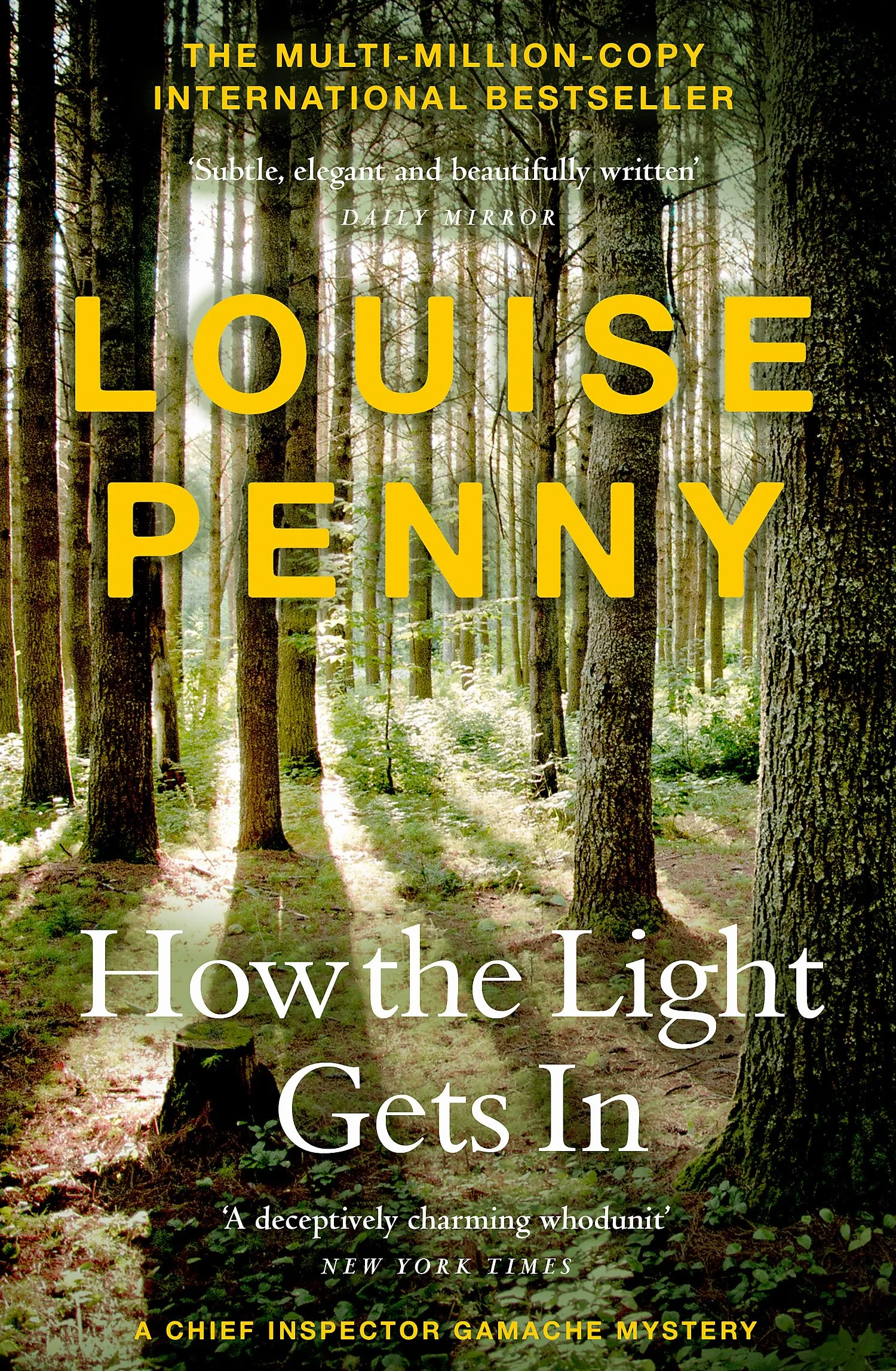 How The Light Gets In: (A Chief Inspector Gamache Mystery Book 9)