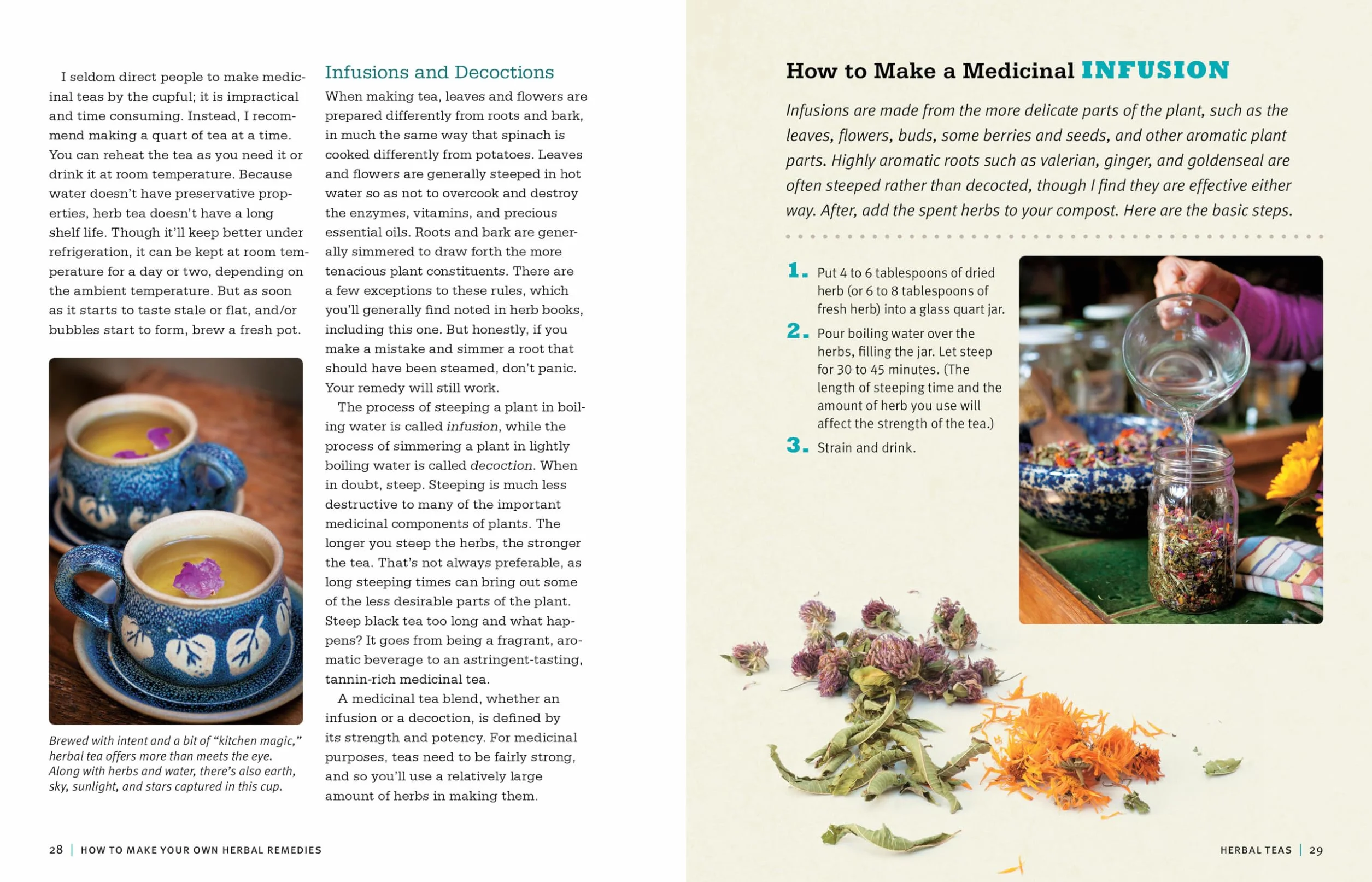 Rosemary Gladstar's Medicinal Herbs: A Beginner's Guide: 33 Healing Herbs to Know, Grow, and Use