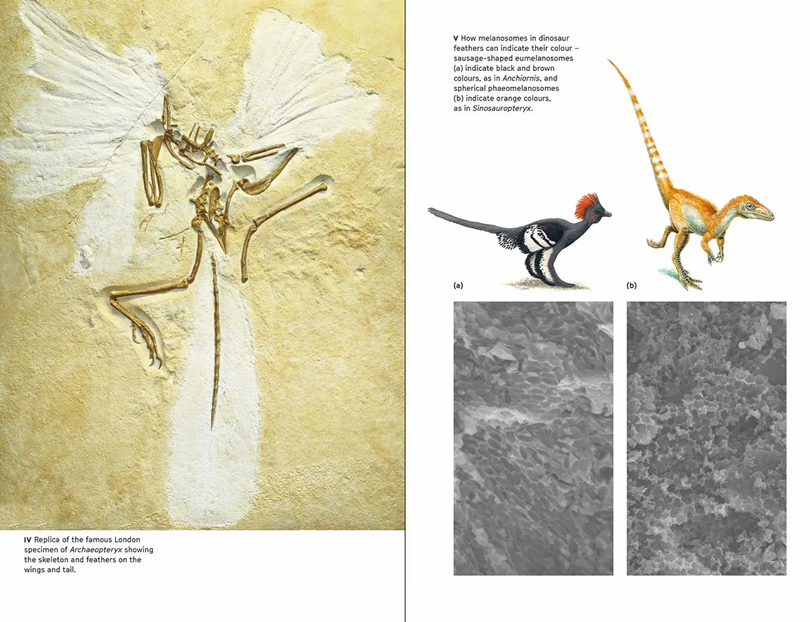 Dinosaurs Rediscovered: The Scientific Revolution in Paleontology