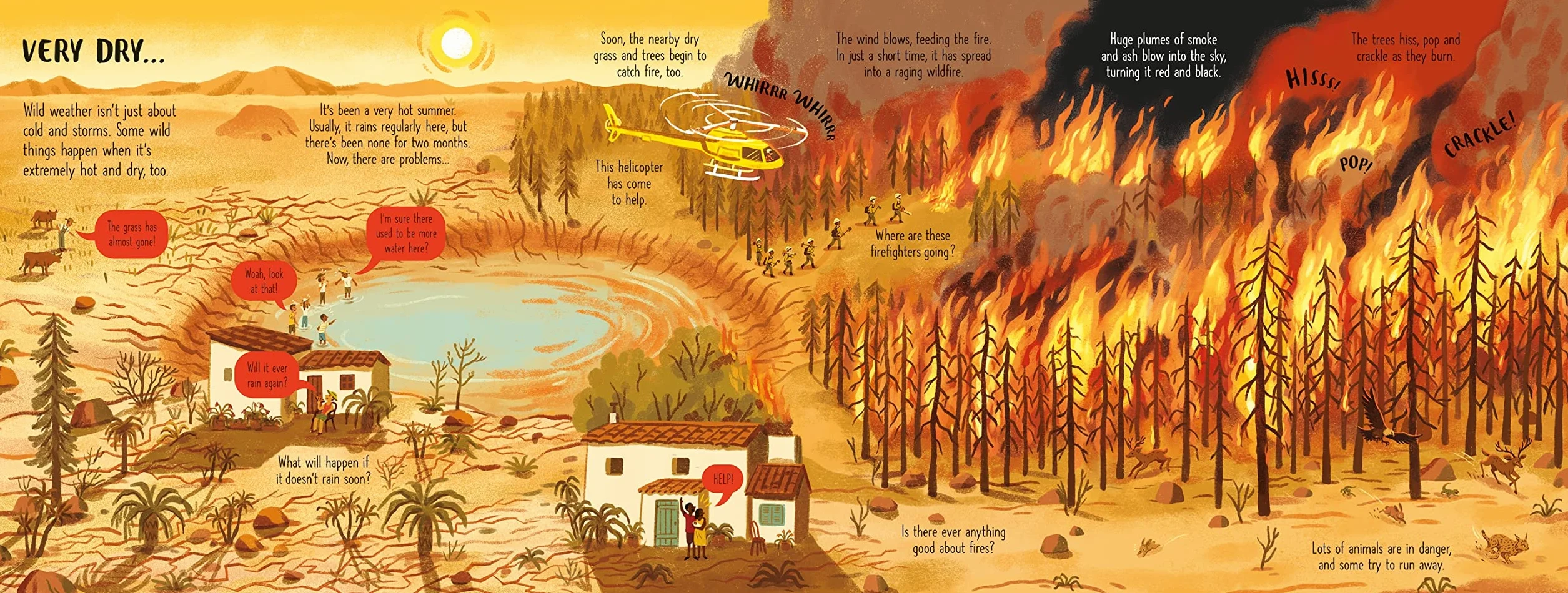 Look Inside Wild Weather: 1