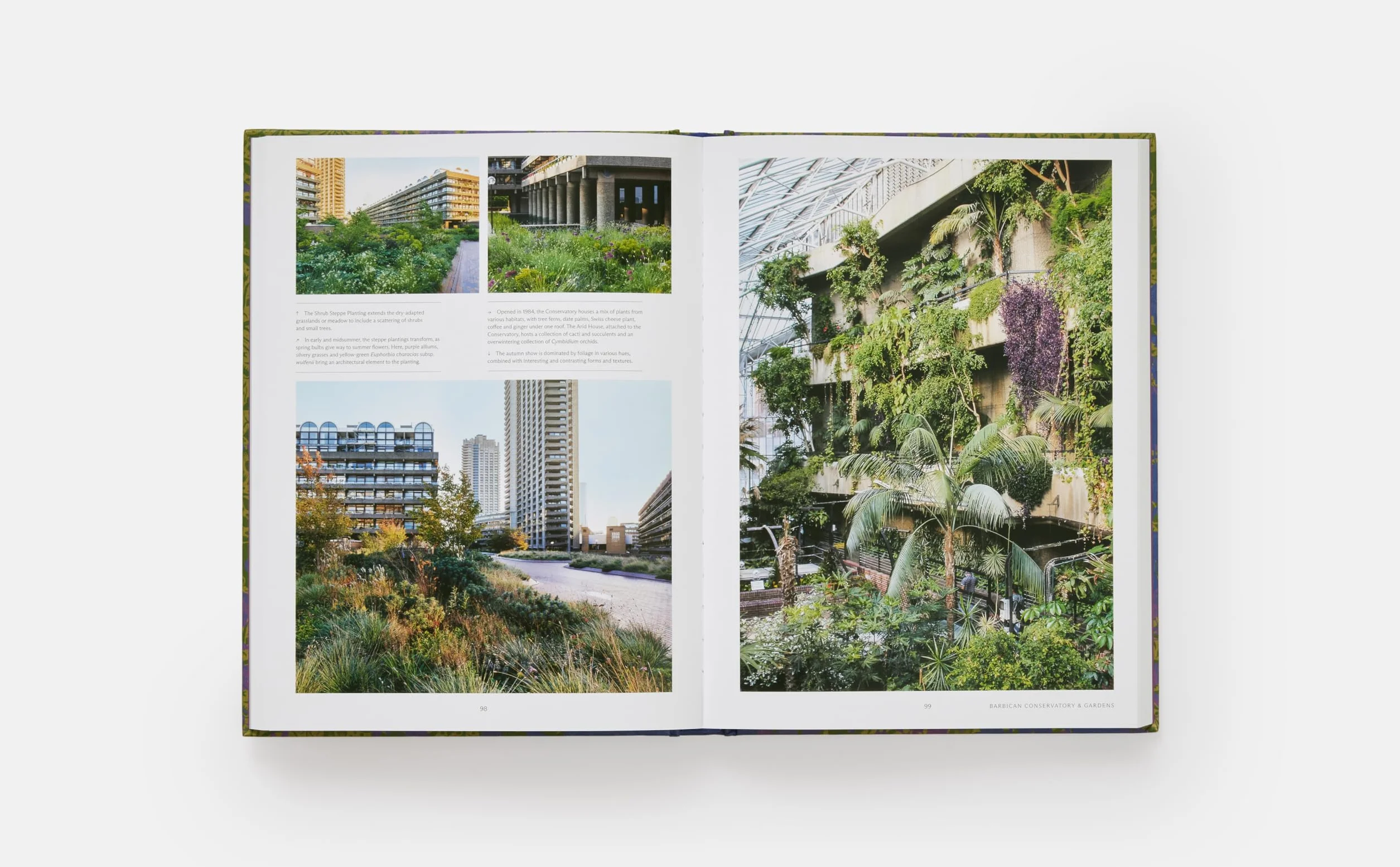 The english gardener's garden