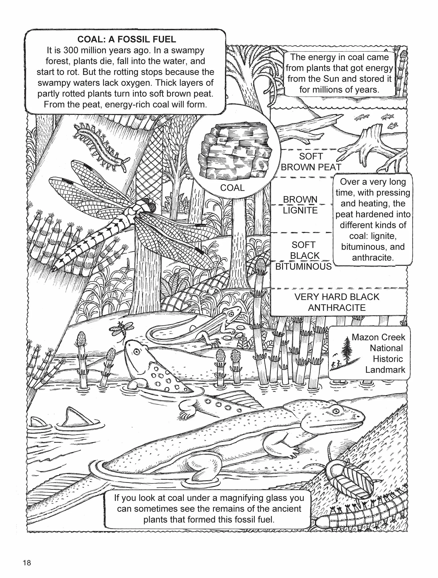 My First Book about Our Amazing Earth