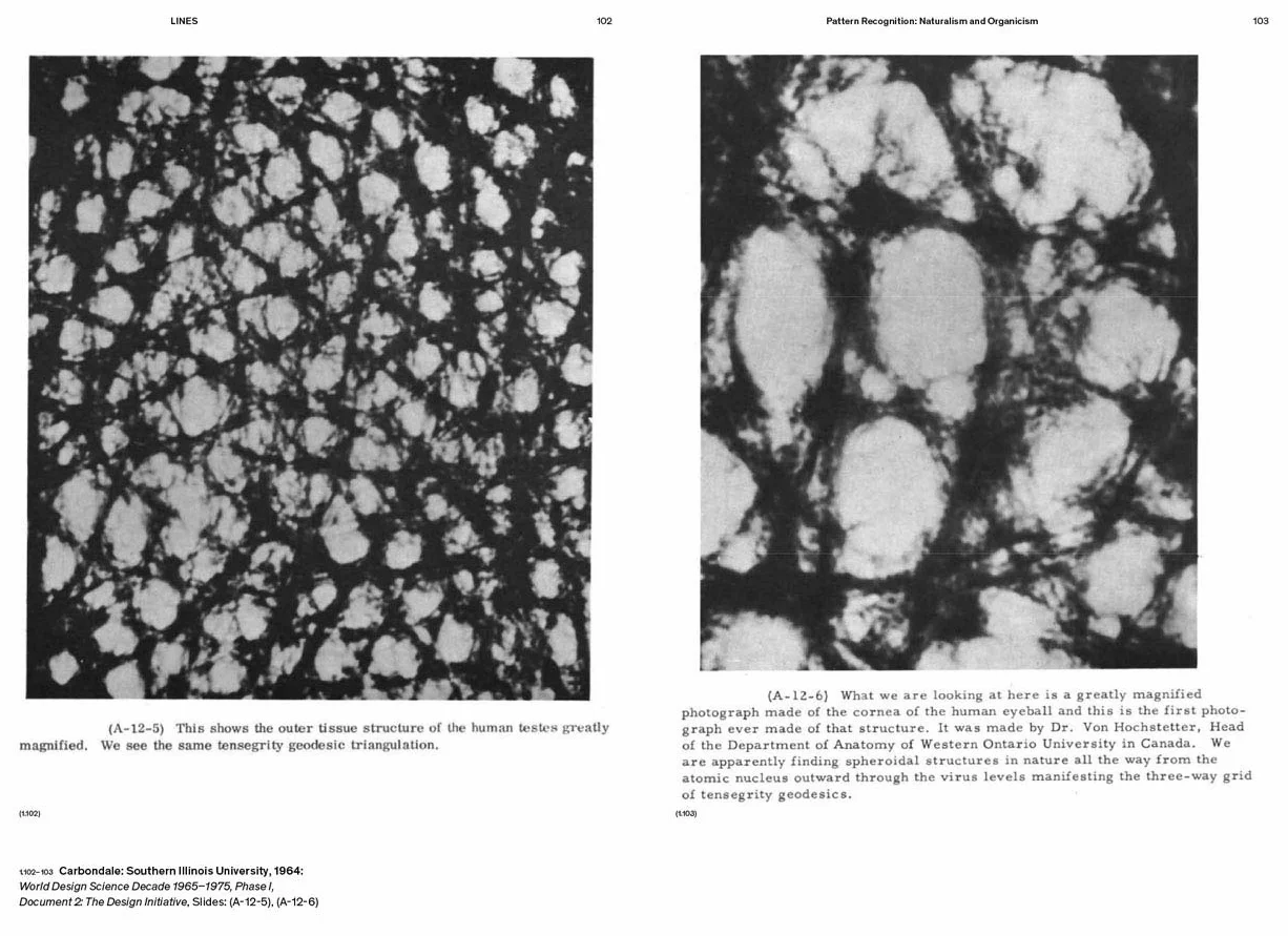R. Buckminster Fuller: Pattern-Thinking