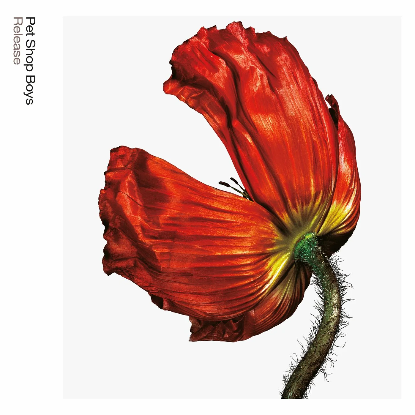 Release: Further Listening 2001 - 2004