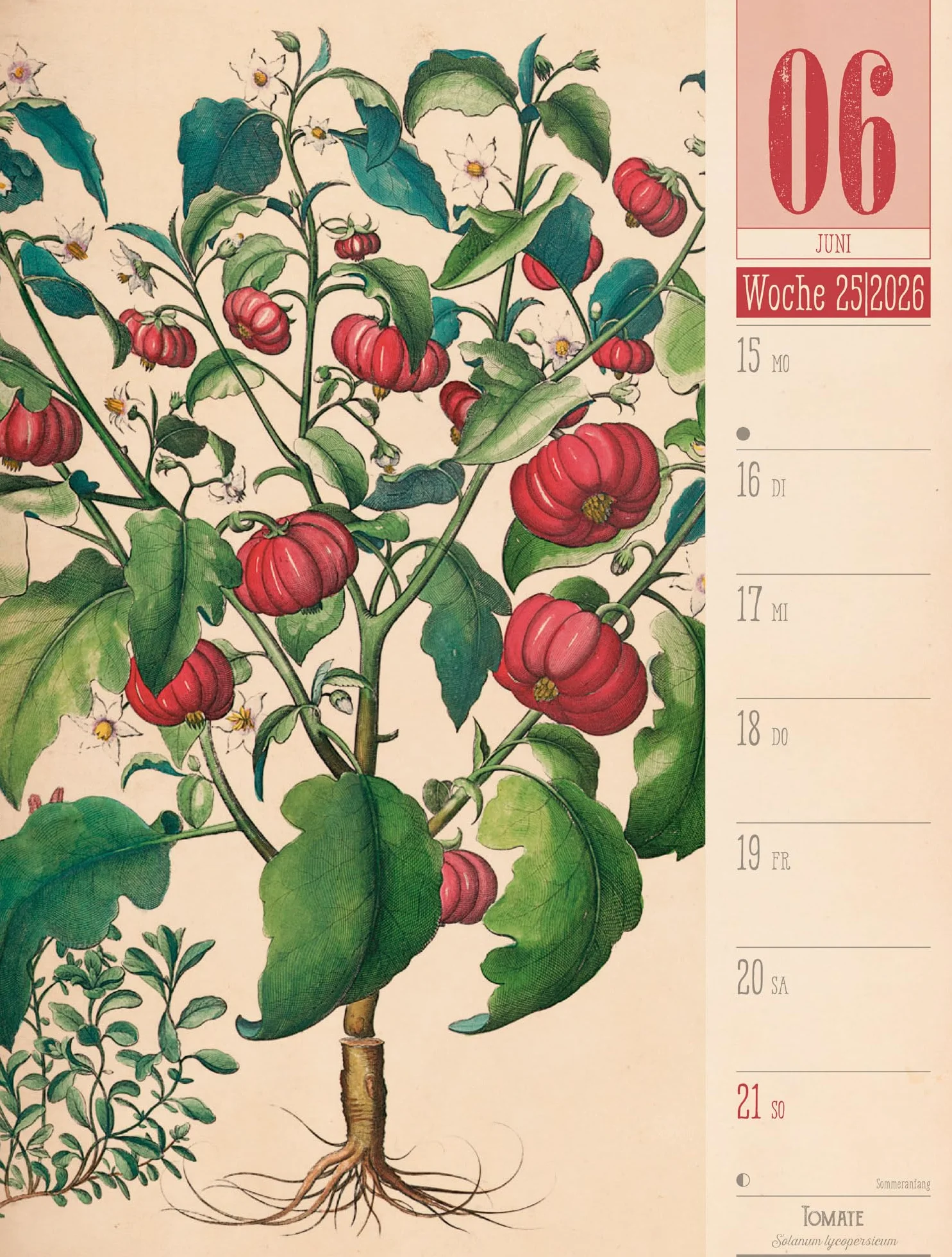Culinarium Wochenplaner Kalender 2026 | Küche, Kräuter, Kurioses: Informativer Küchen-Wochenkalender im Hochformat (25x33 cm) | Vintage & Retro