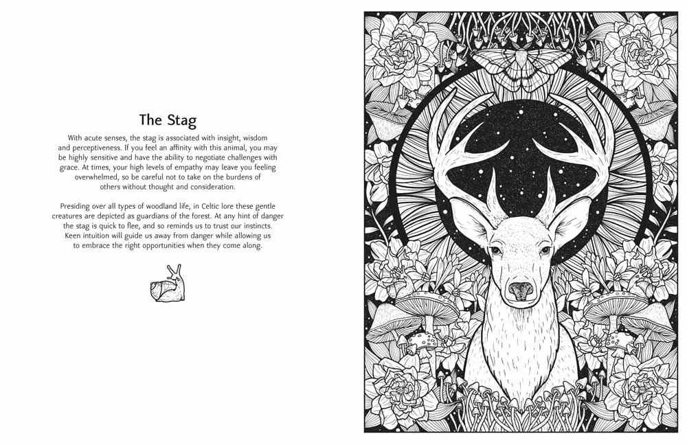 Mystic Animals: Colour Your Spiritual Guides