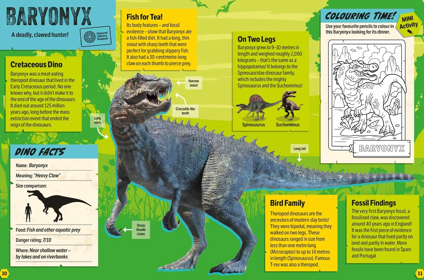 Natural History Museum Dinosaurs Annual 2025: The ultimate illustrated gift book for every young dinosaur and natural history fan, packed with facts, activities, crafts and more!