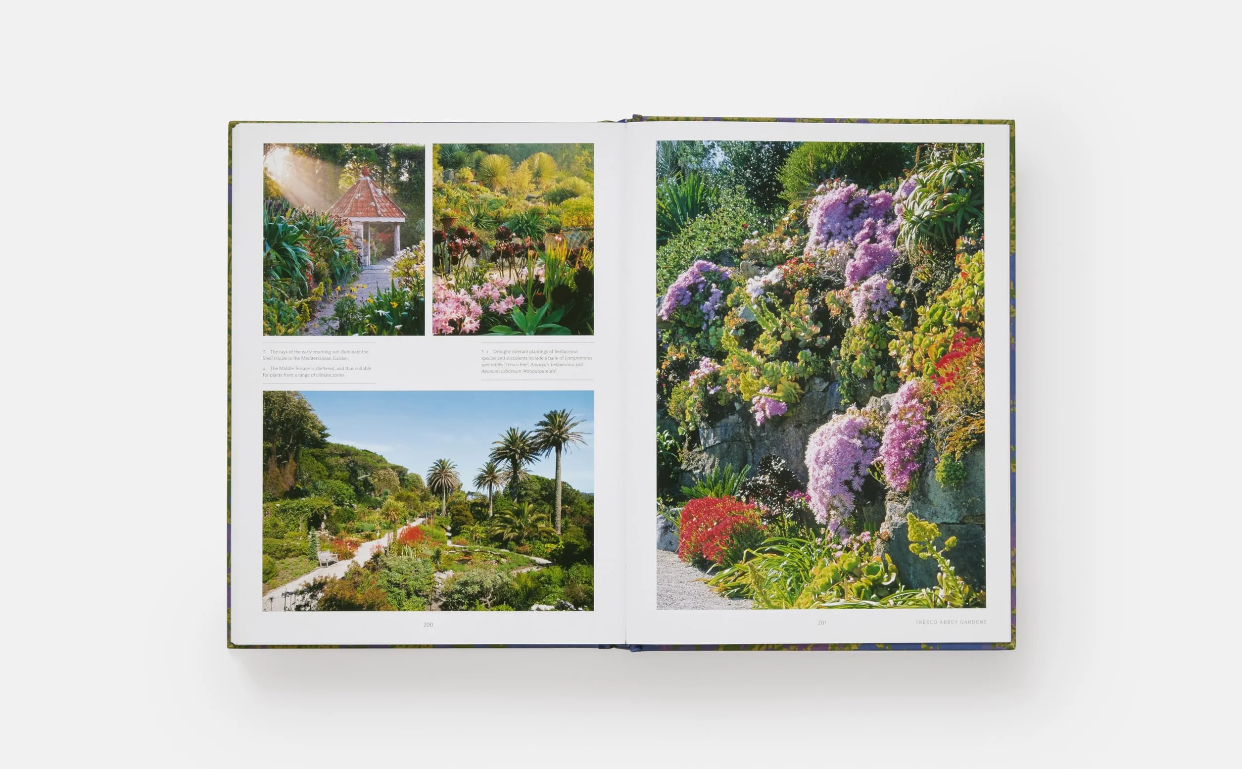 The english gardener's garden