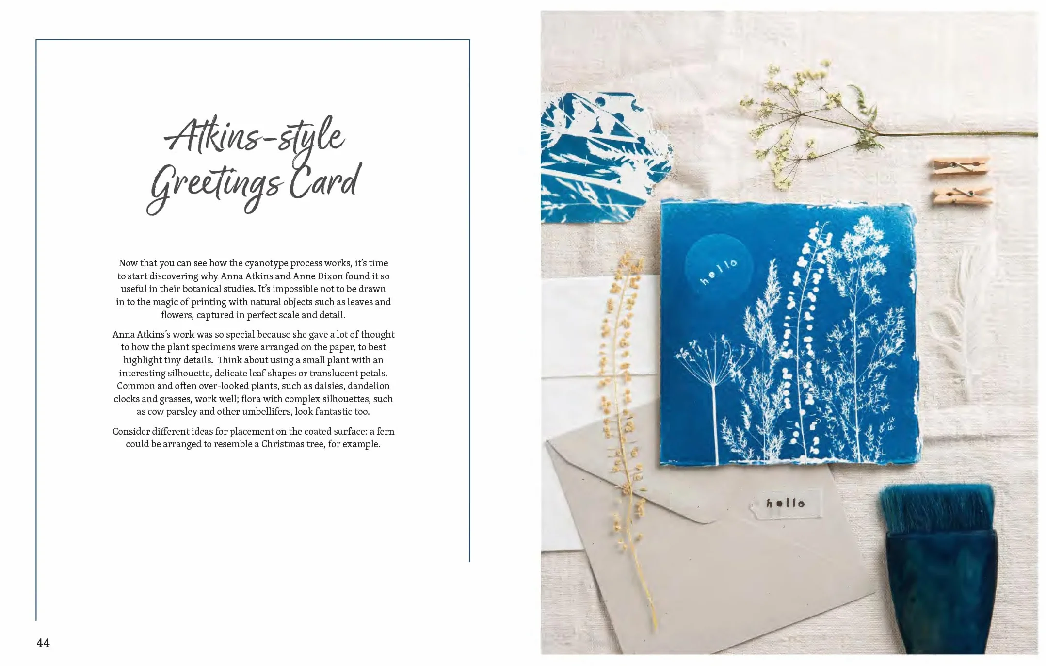 Beginner's Guide to Cyanotype: Beautiful Projects to Print with Light