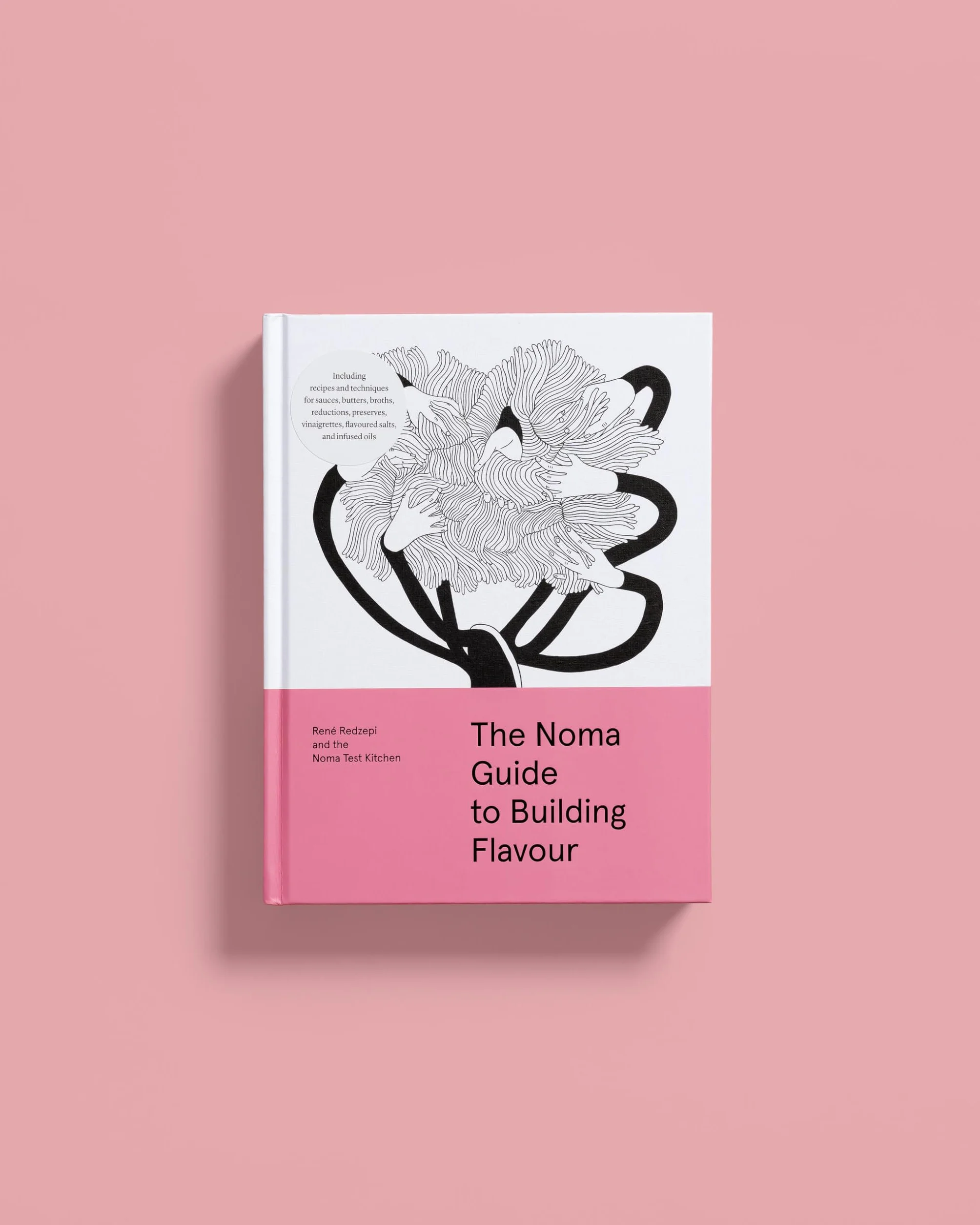 The Noma Guide to Building Flavour: Including recipes and techniques for sauces, butters, broths, reductions, preserves, vinaigrettes, flavoured salts, and infused oils