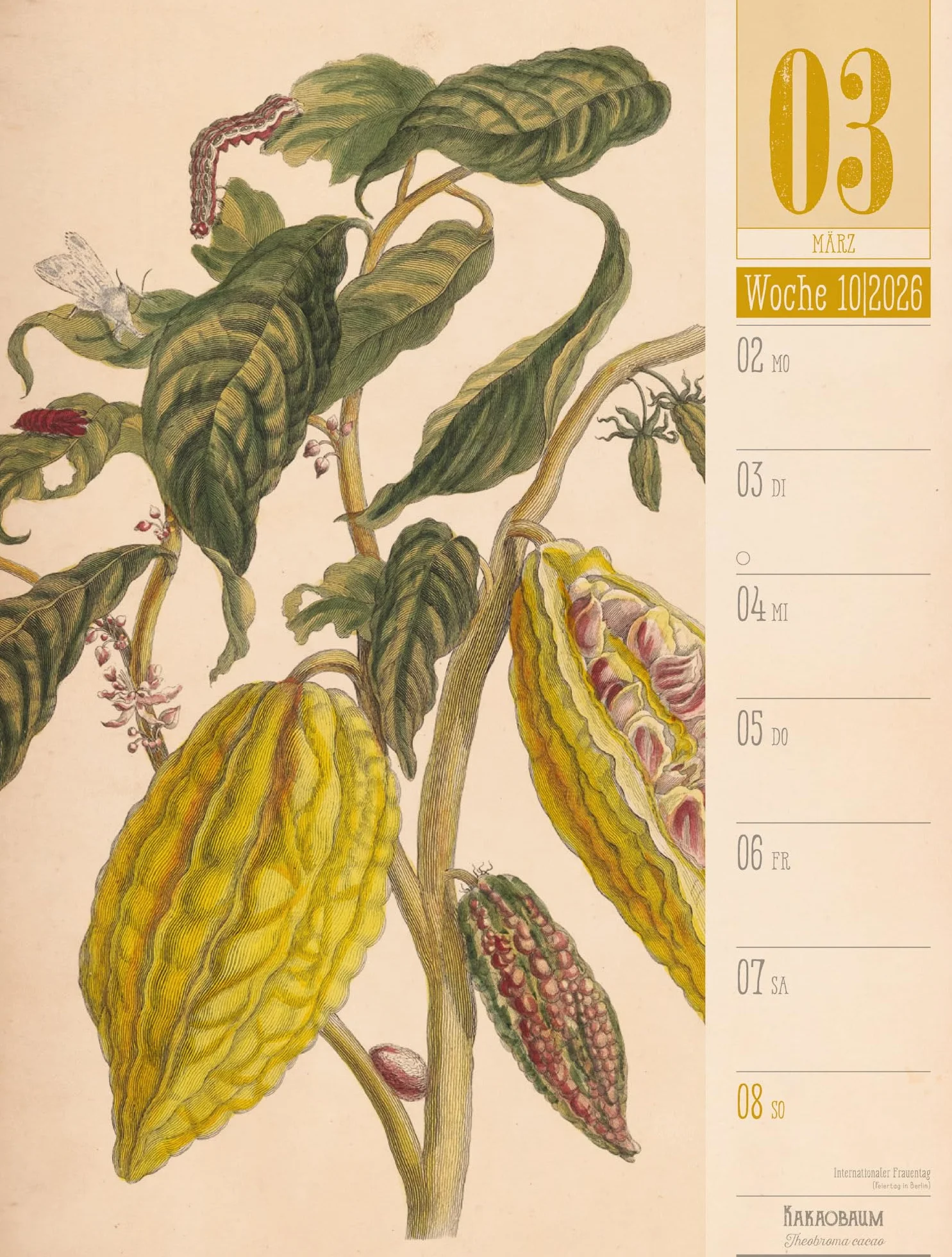 Culinarium Wochenplaner Kalender 2026 | Küche, Kräuter, Kurioses: Informativer Küchen-Wochenkalender im Hochformat (25x33 cm) | Vintage & Retro