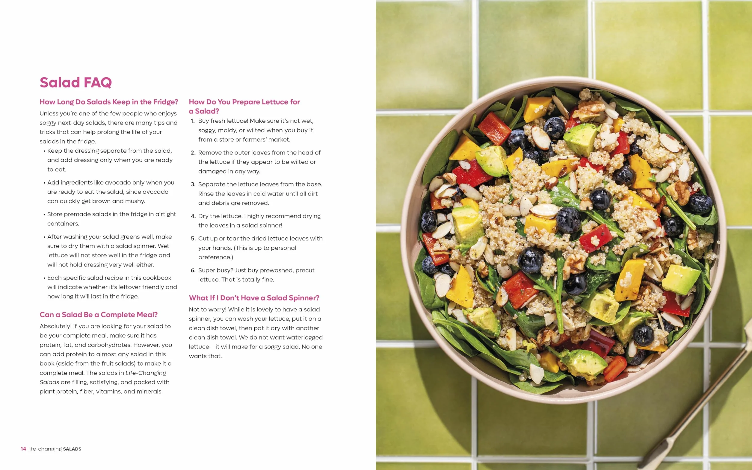 Life-Changing Salads: 100 Plant-Based Salads and Dressings Beyond Your Wildest Greens (Healthygirl Kitchen)