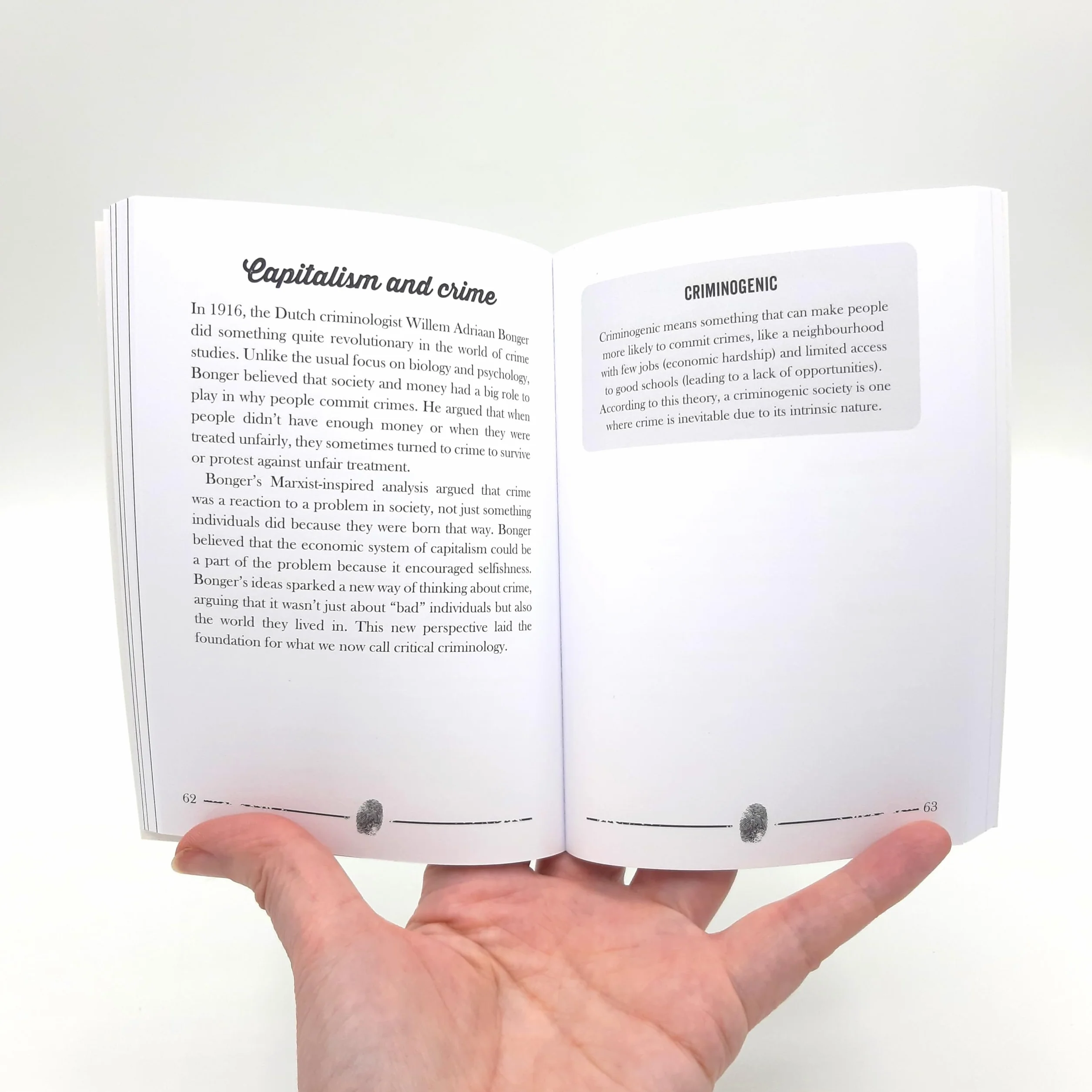 The Little Book of Criminology: A Pocket Guide to the Study of Crime and Criminal Minds