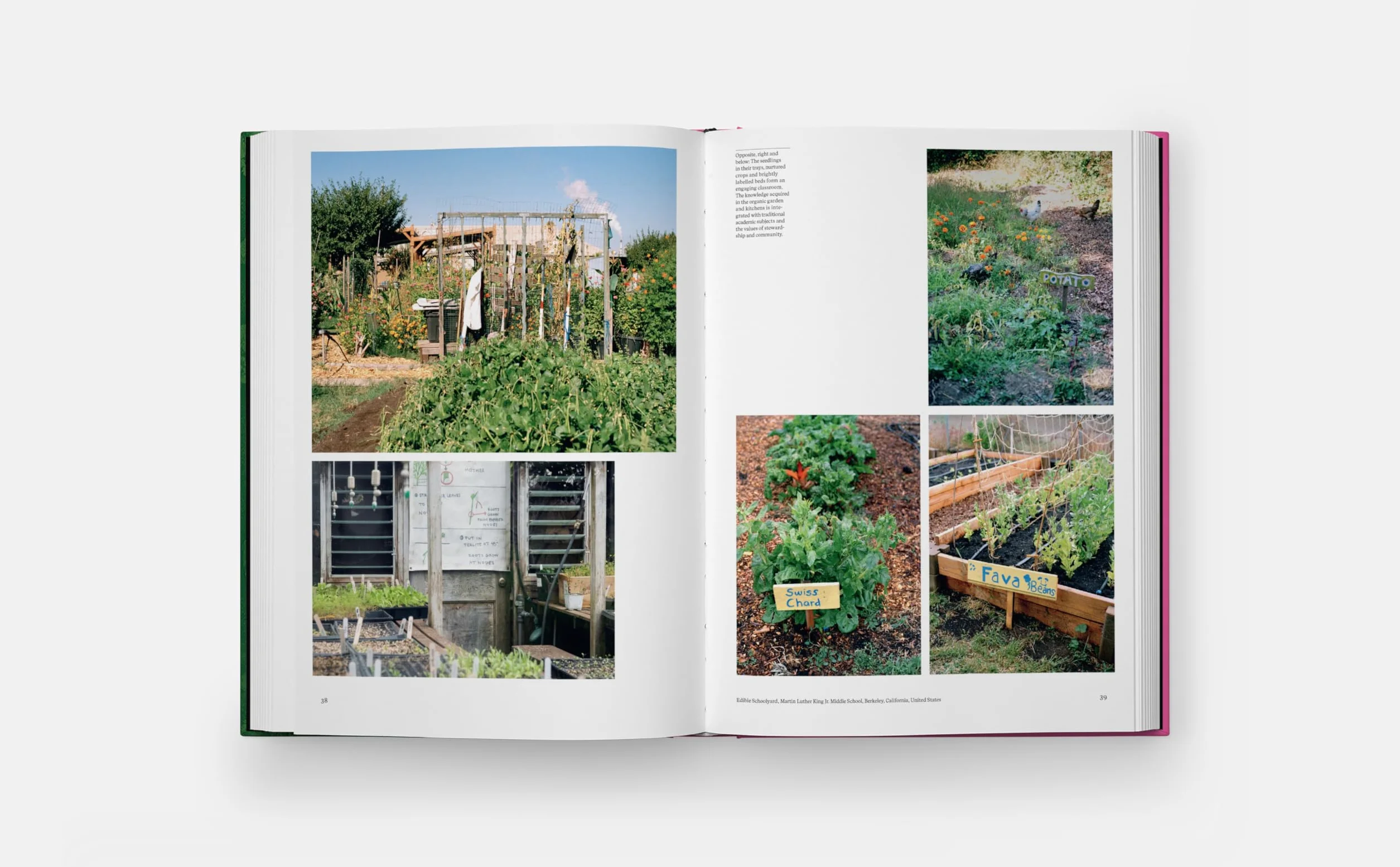 The kitchen garden