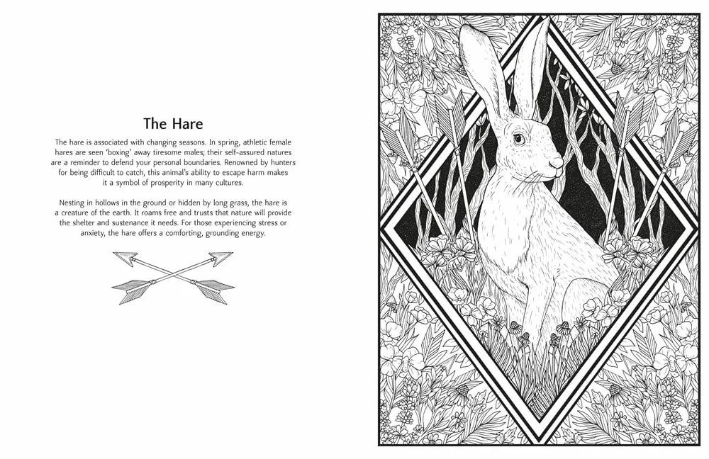 Mystic Animals: Colour Your Spiritual Guides
