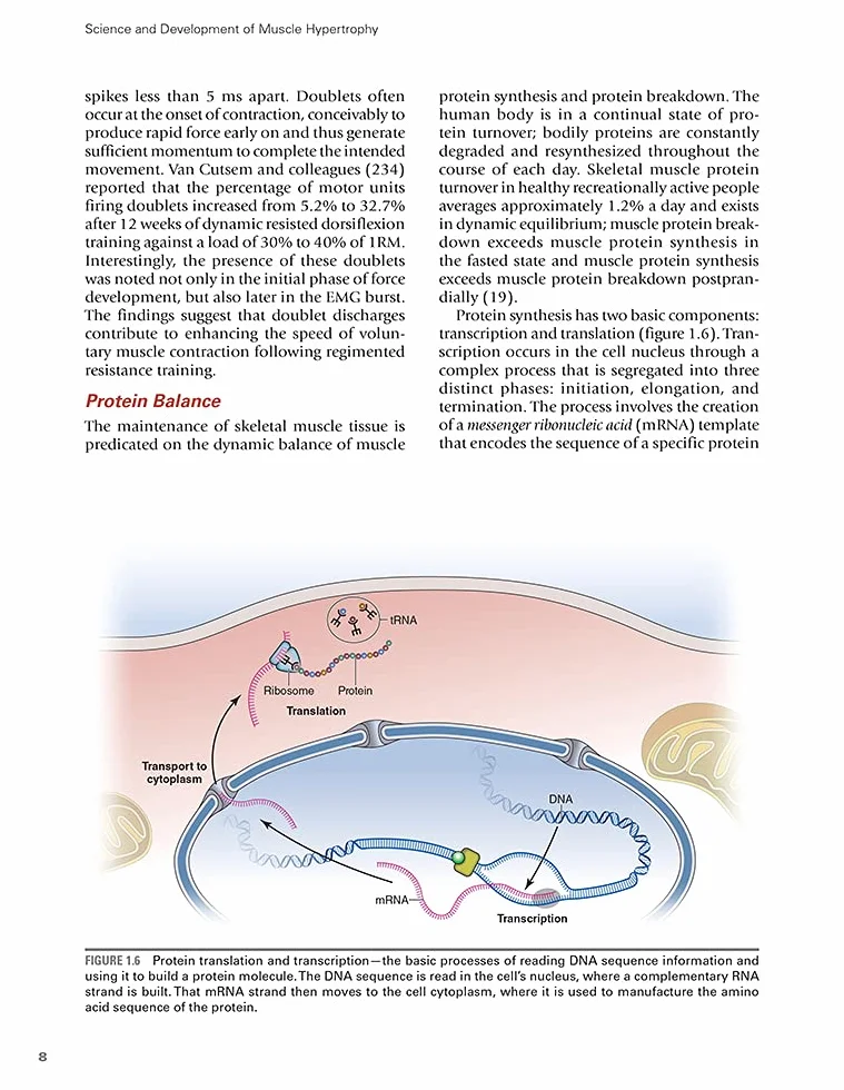 Science and Development of Muscle Hypertrophy
