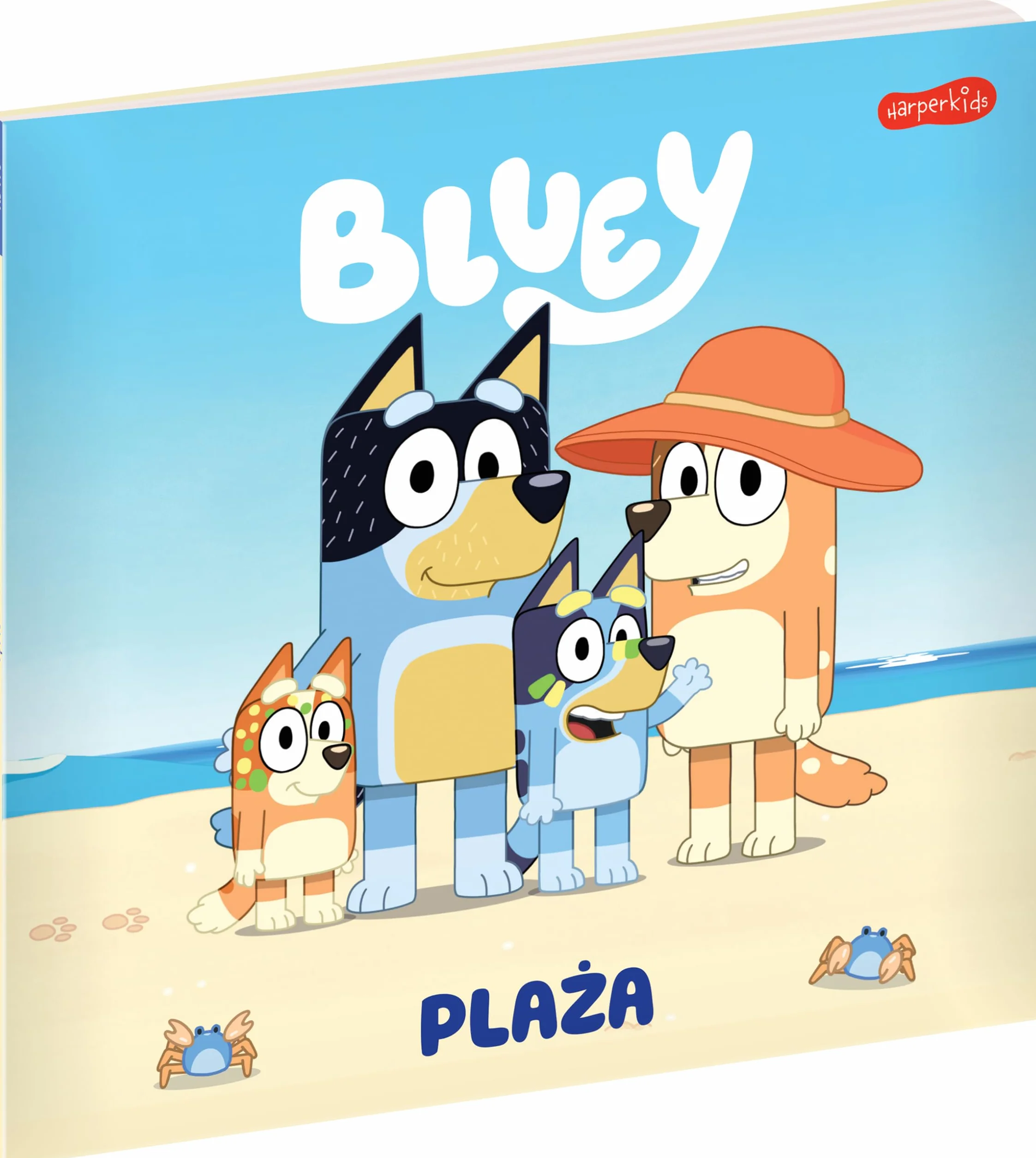 Bluey. Plaża. Moja czytanka