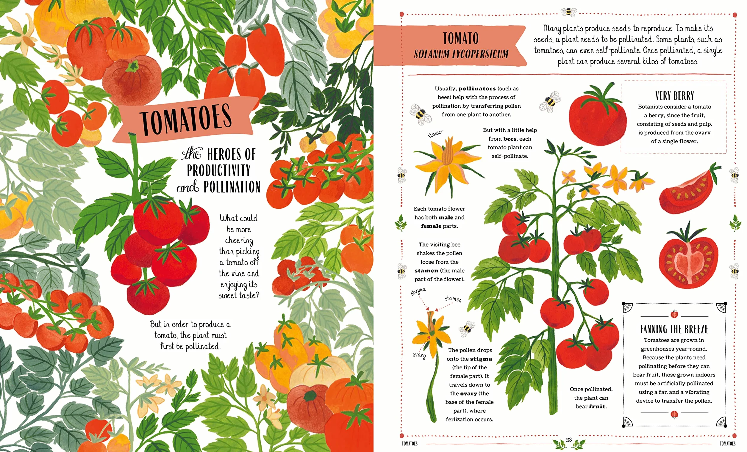 Grow: A first guide to plants and how to grow them