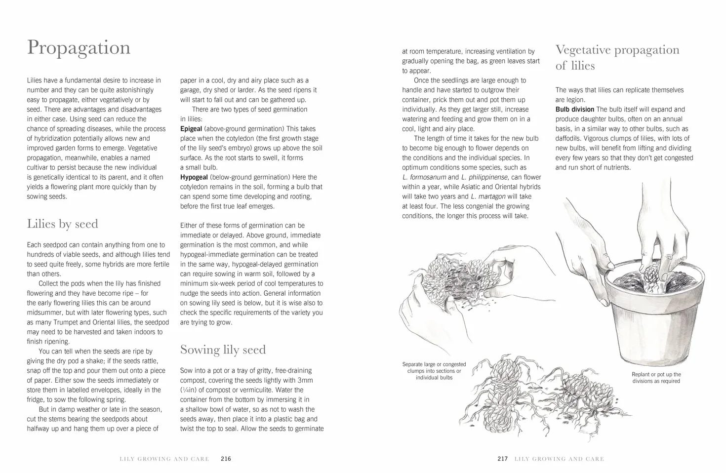 Lilies: The ultimate flower guide for growing, flowering and cutting varieties for the home and gardening