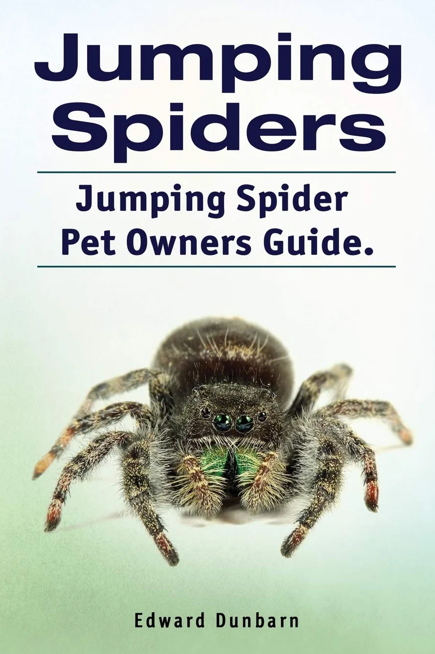 Jumping Spiders. Jumping Spider Pet Owners Guide.