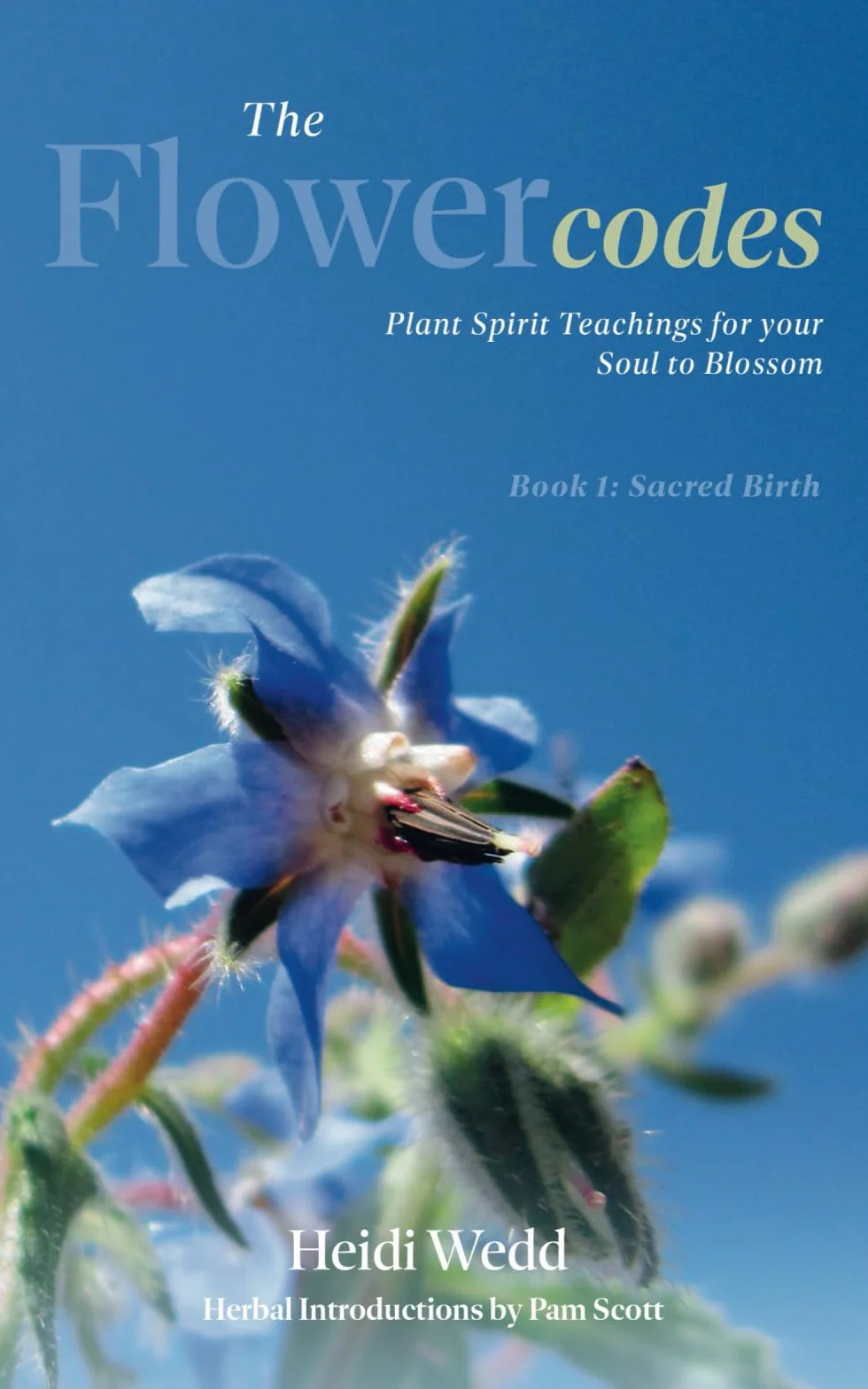 The Flower Codes: Plant Spirit Teachings for your Soul to Blossom Book 1: Sacred Birth