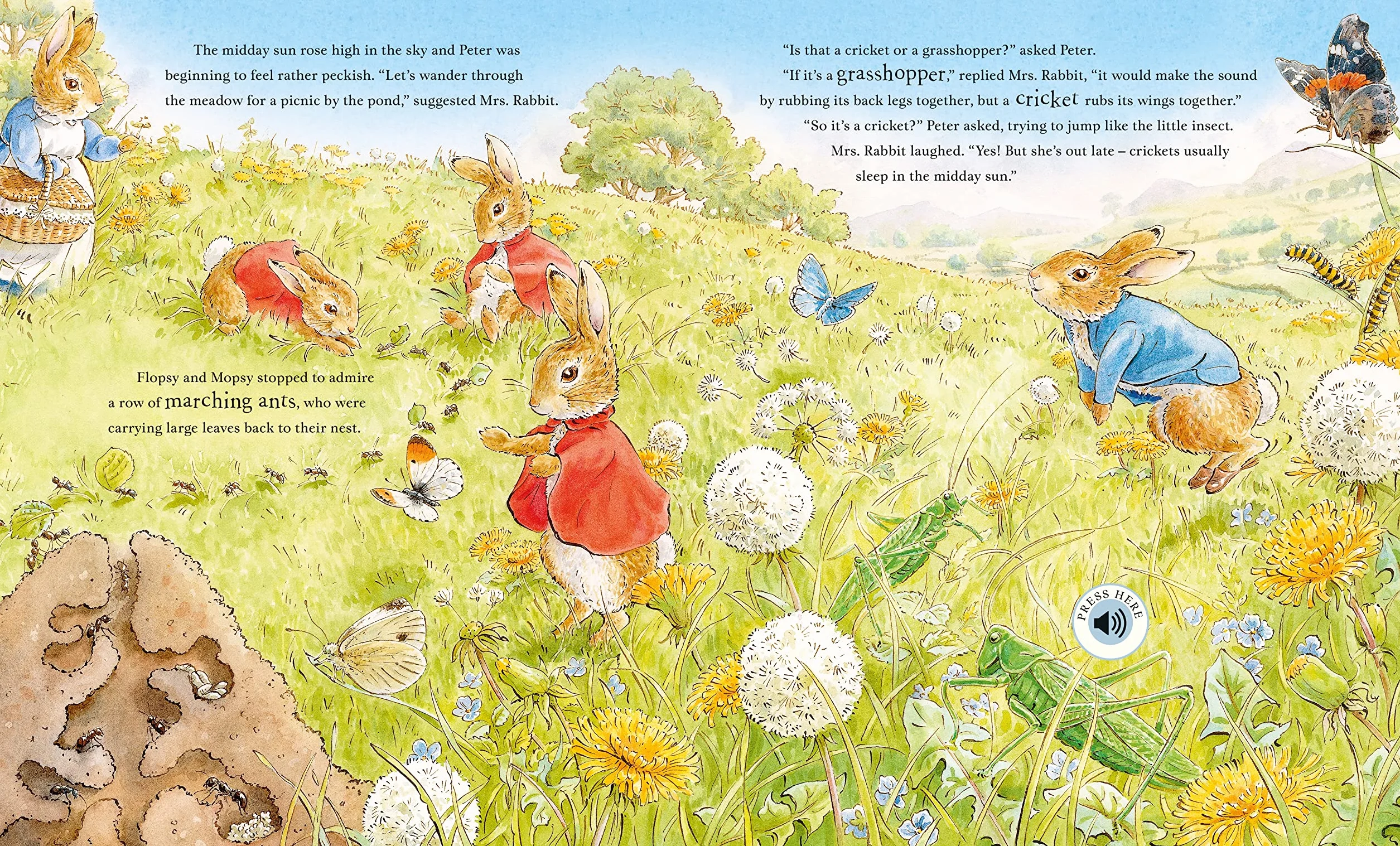 Peter Rabbit: Peter's Nature Walk: A Sound Book