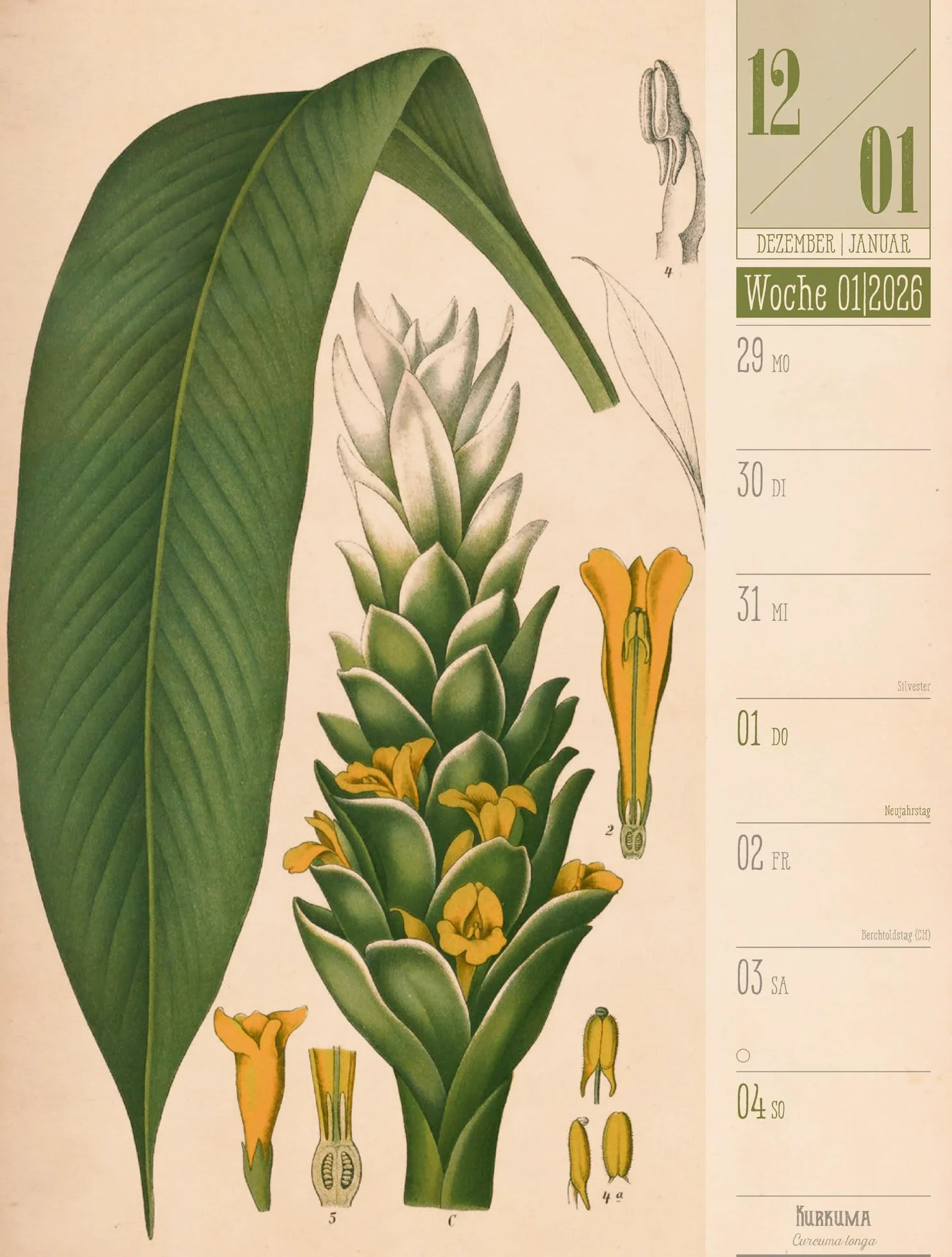 Culinarium Wochenplaner Kalender 2026 | Küche, Kräuter, Kurioses: Informativer Küchen-Wochenkalender im Hochformat (25x33 cm) | Vintage & Retro