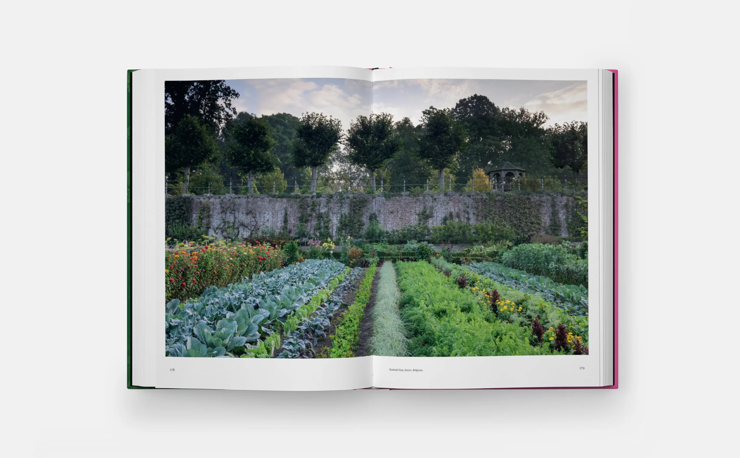 The kitchen garden