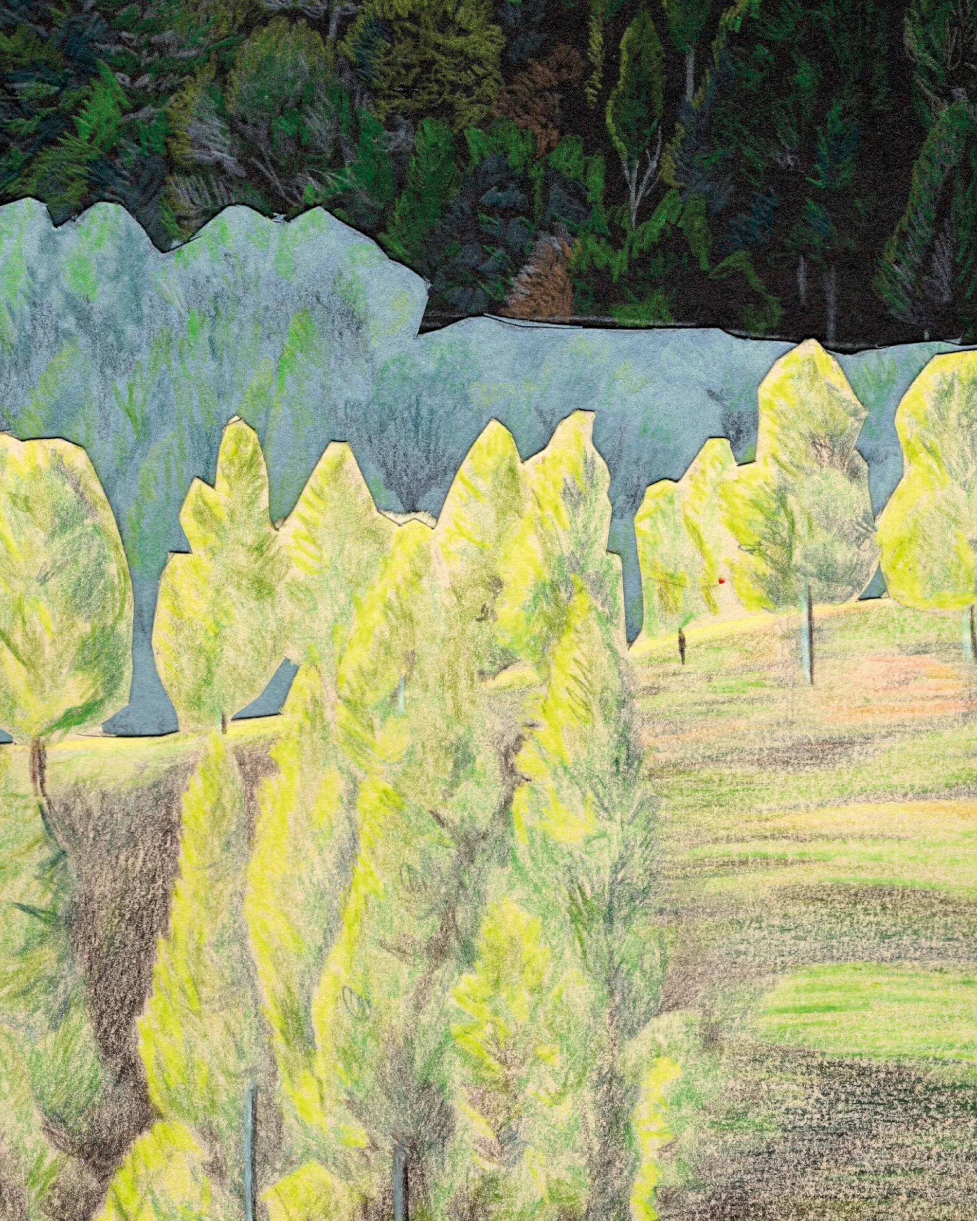How to Draw a Tree: From the Fruit to the Forest: A Step-By-Step Course for the Nature Artist