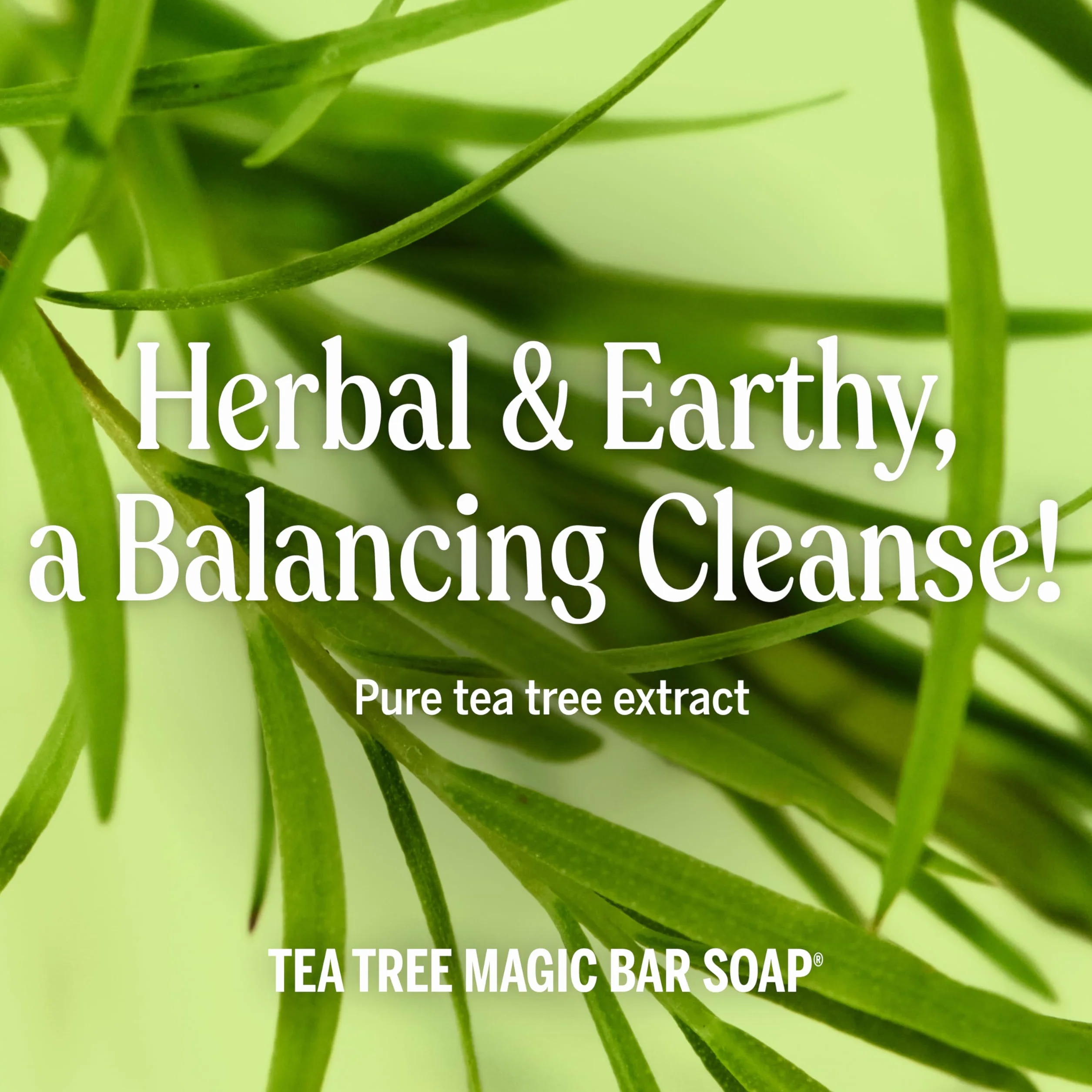Dr. Bronner's Organic Tea Tree Pure Castile mydelniczka