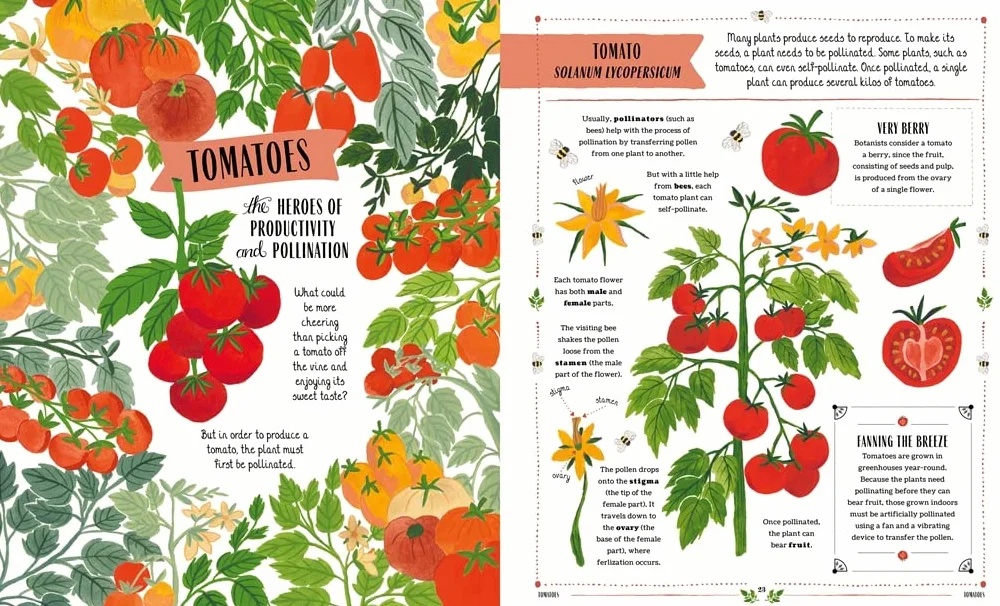 Grow: A first guide to plants and how to grow them
