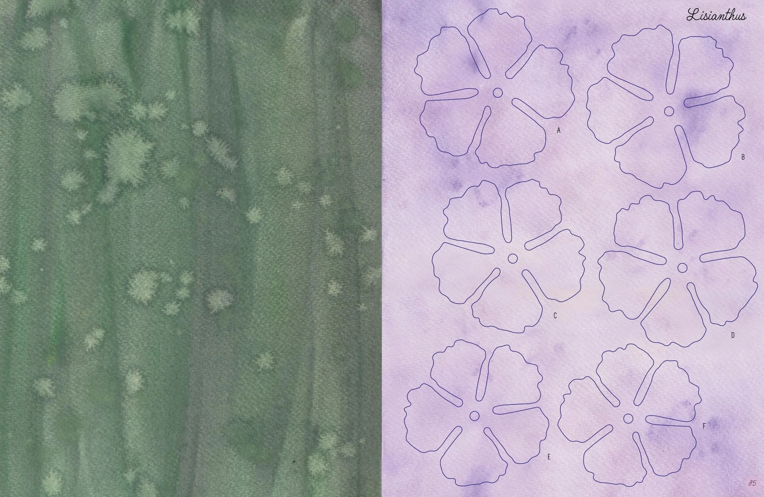 The Bouquet in a Book: Spring: Pre-Punched Pages to Press Out and Make Paper Flowers: 3
