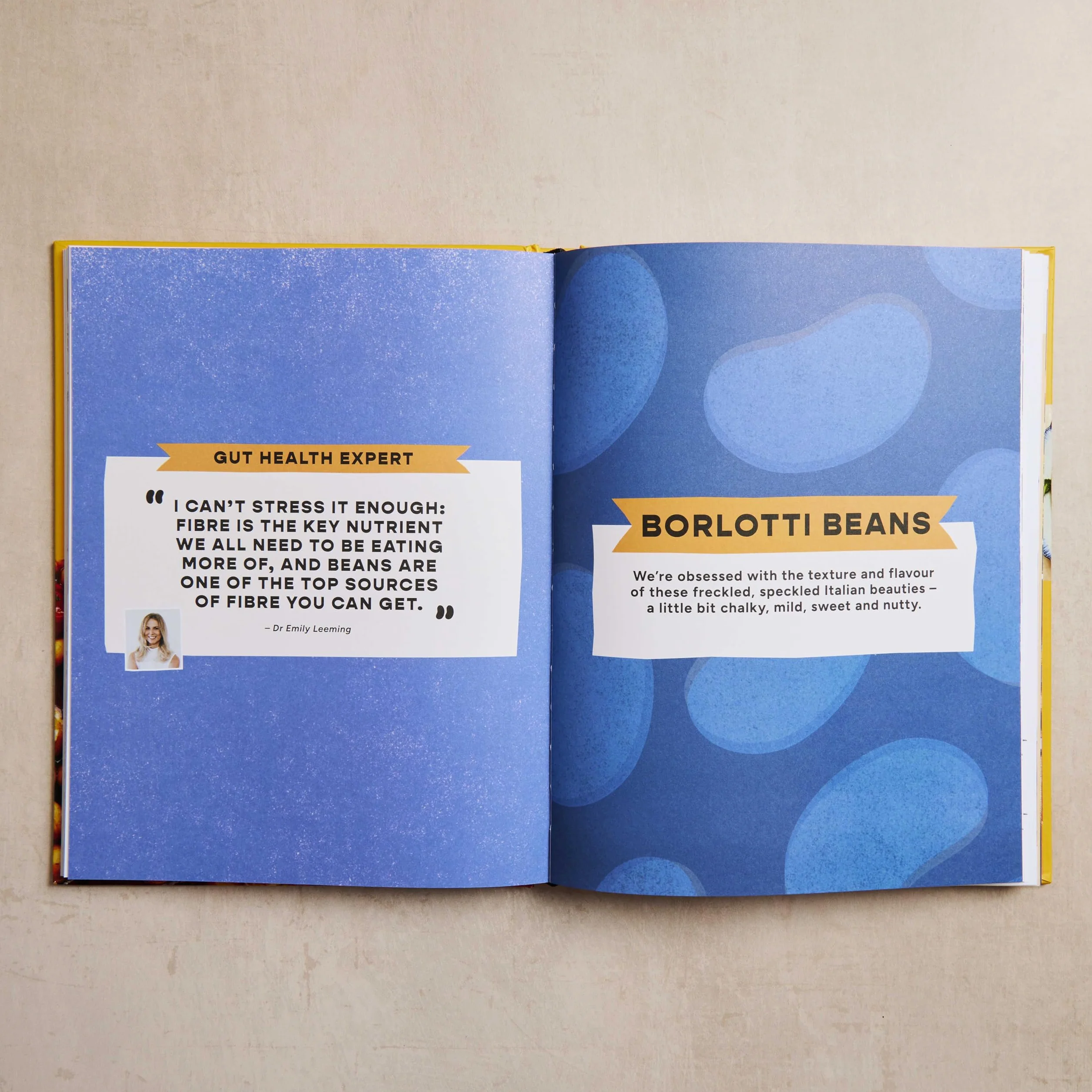 Bold Beans Full of Beans: Delicious Beany Recipes to Obsess Over