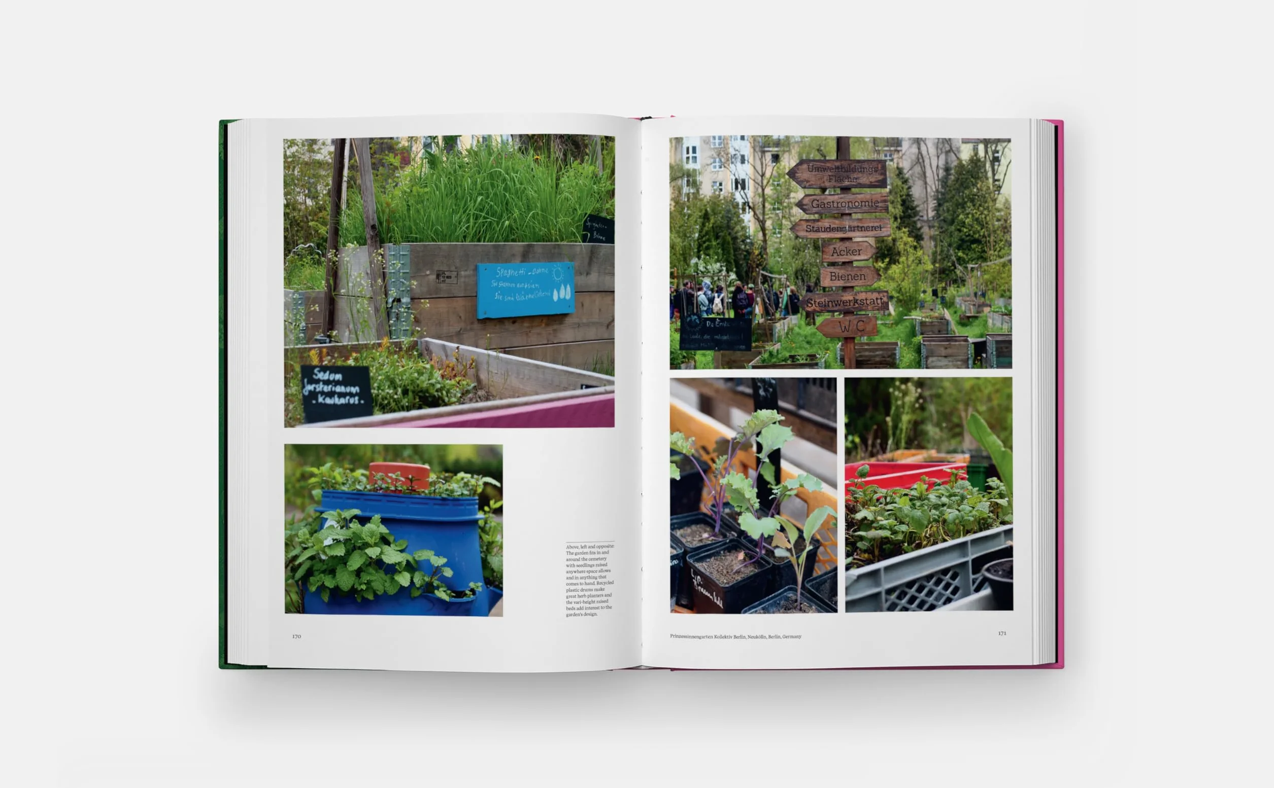 The kitchen garden