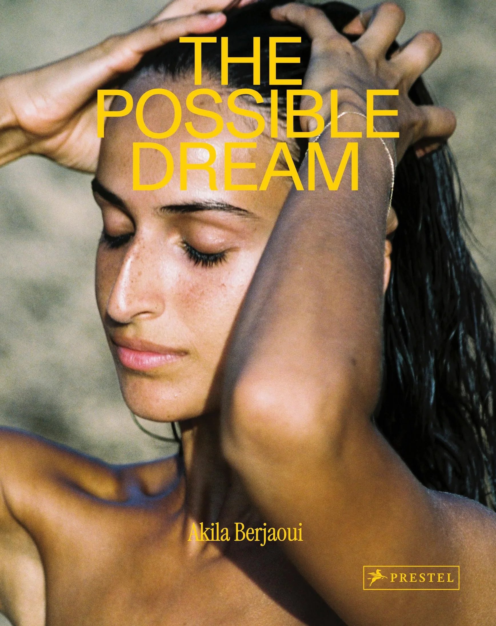 Akila Berjaoui: The Possible Dream