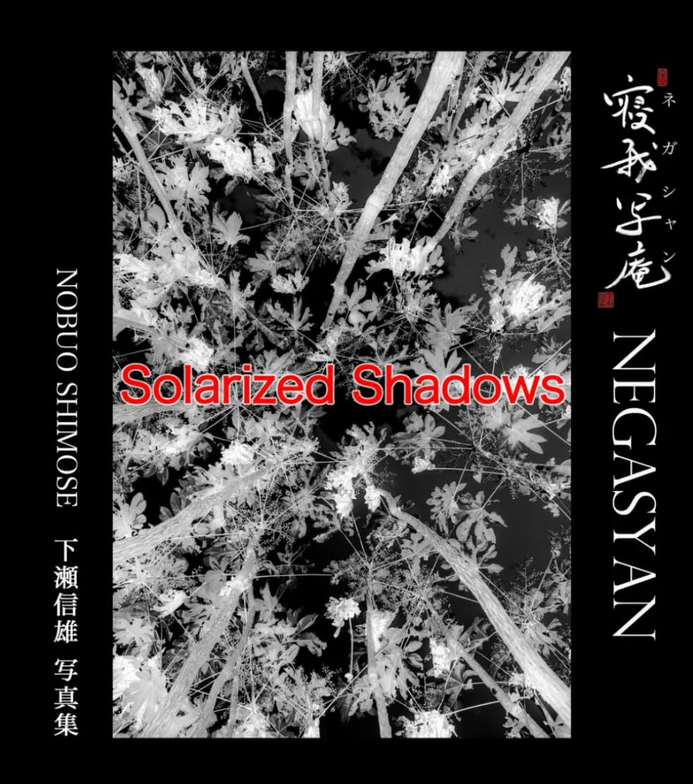 Solarized Shadows: Photographic Reveries in Light and Reversal