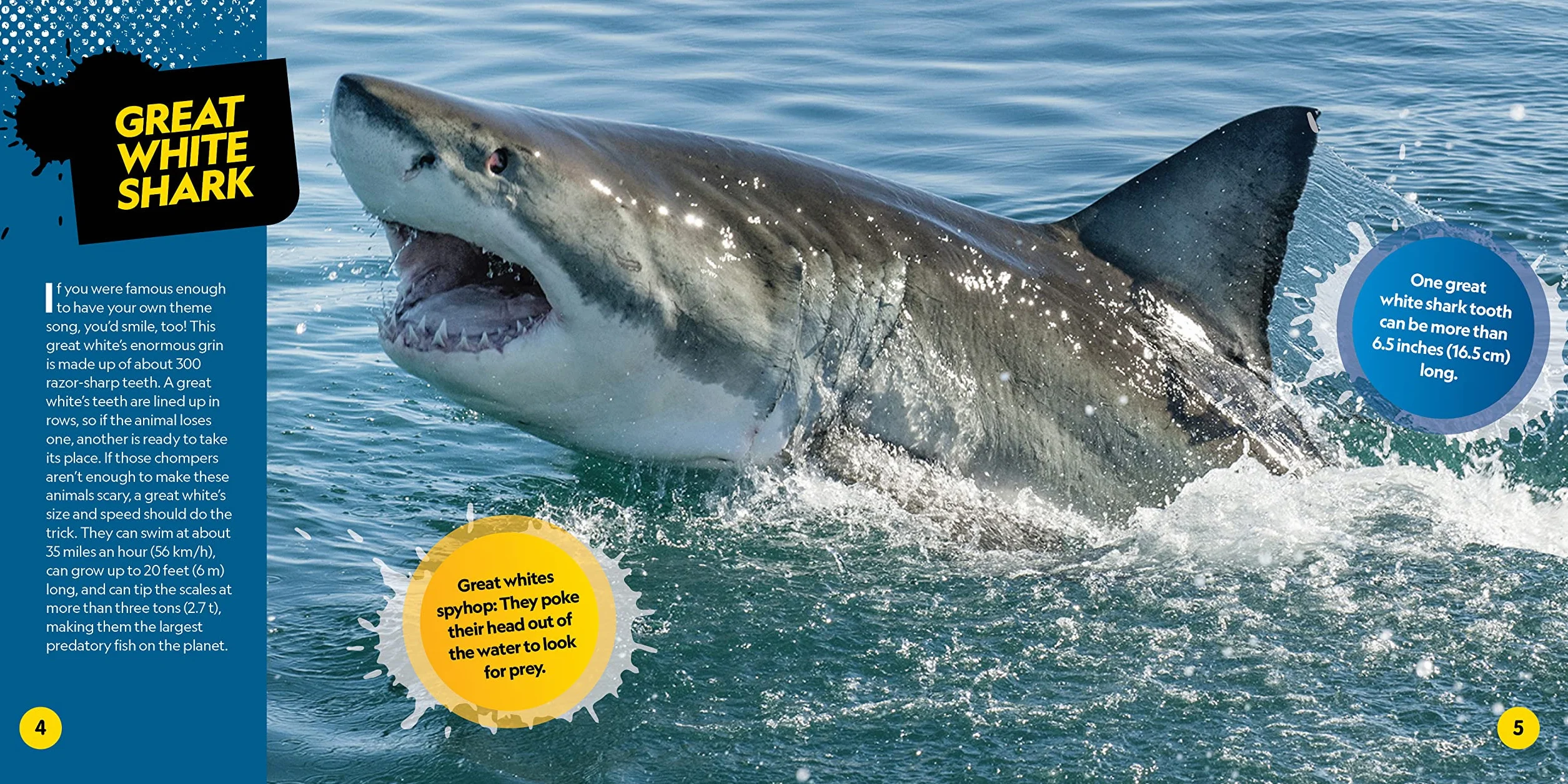 Deadliest Animals on the Planet