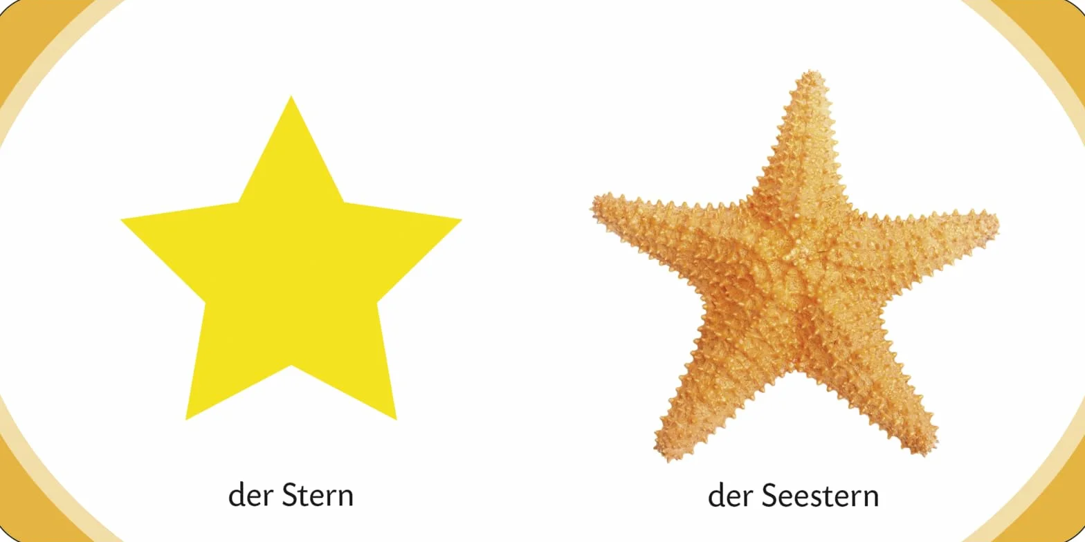 Kennst du das? Meine kleine Lernwelt: ab 12 Monaten: 3